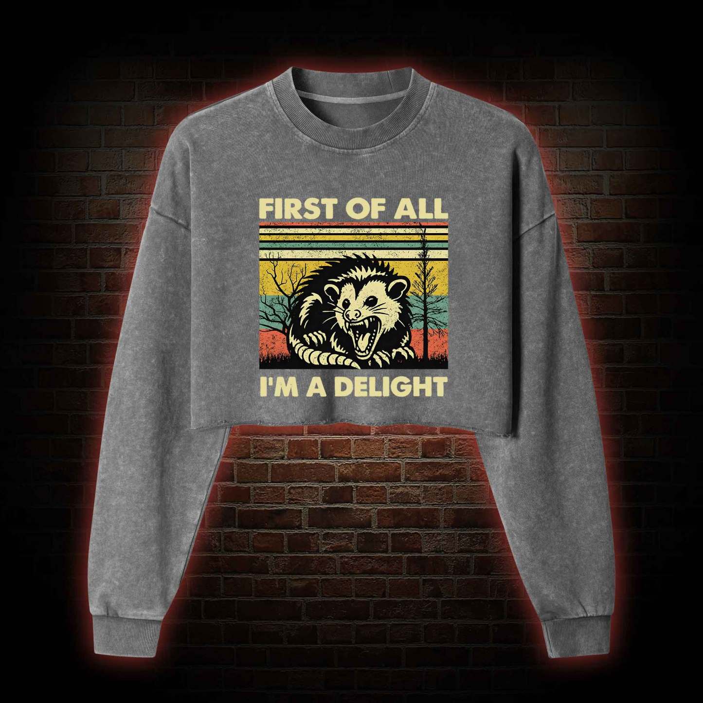 I'm A Delight Washed Cropped Sweatshirts