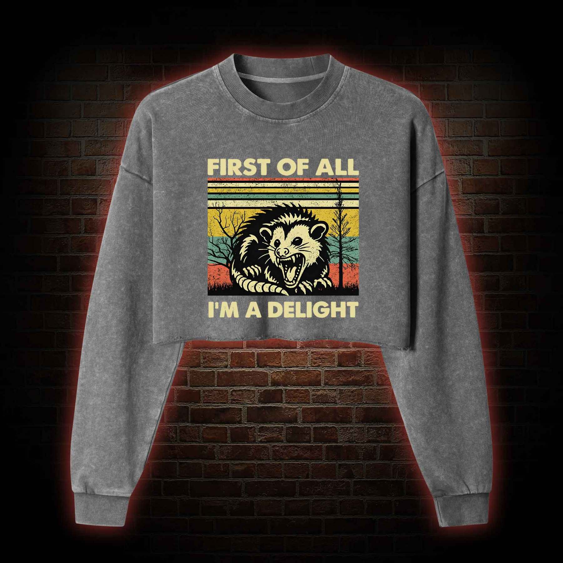 I'm A Delight Washed Cropped Sweatshirts