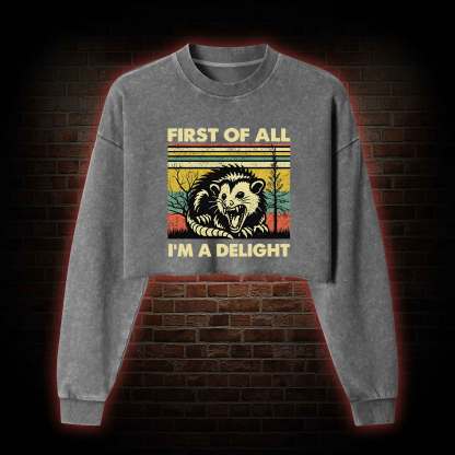 I'm A Delight Washed Cropped Sweatshirts