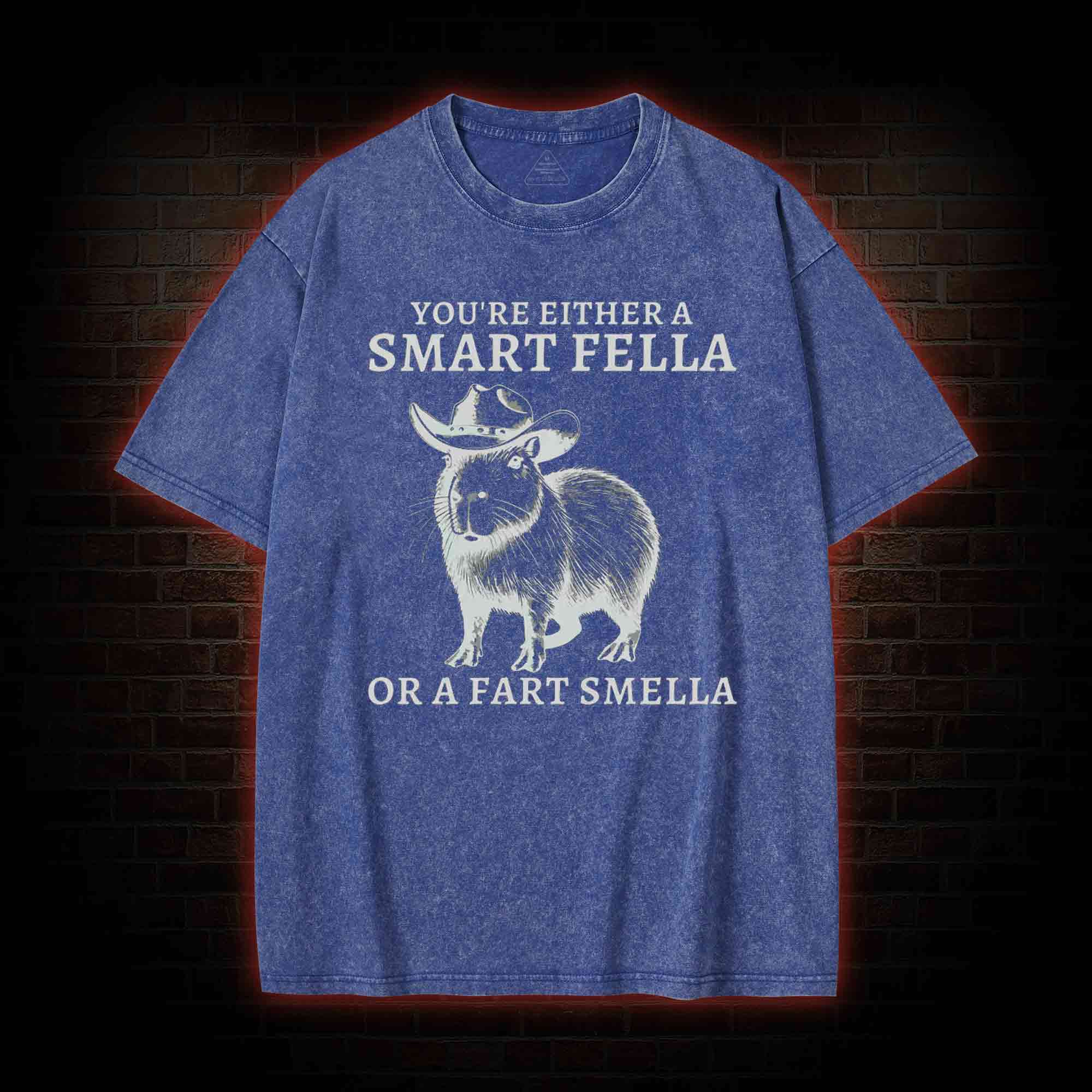Smart Fella Capybara Washed T-shirt