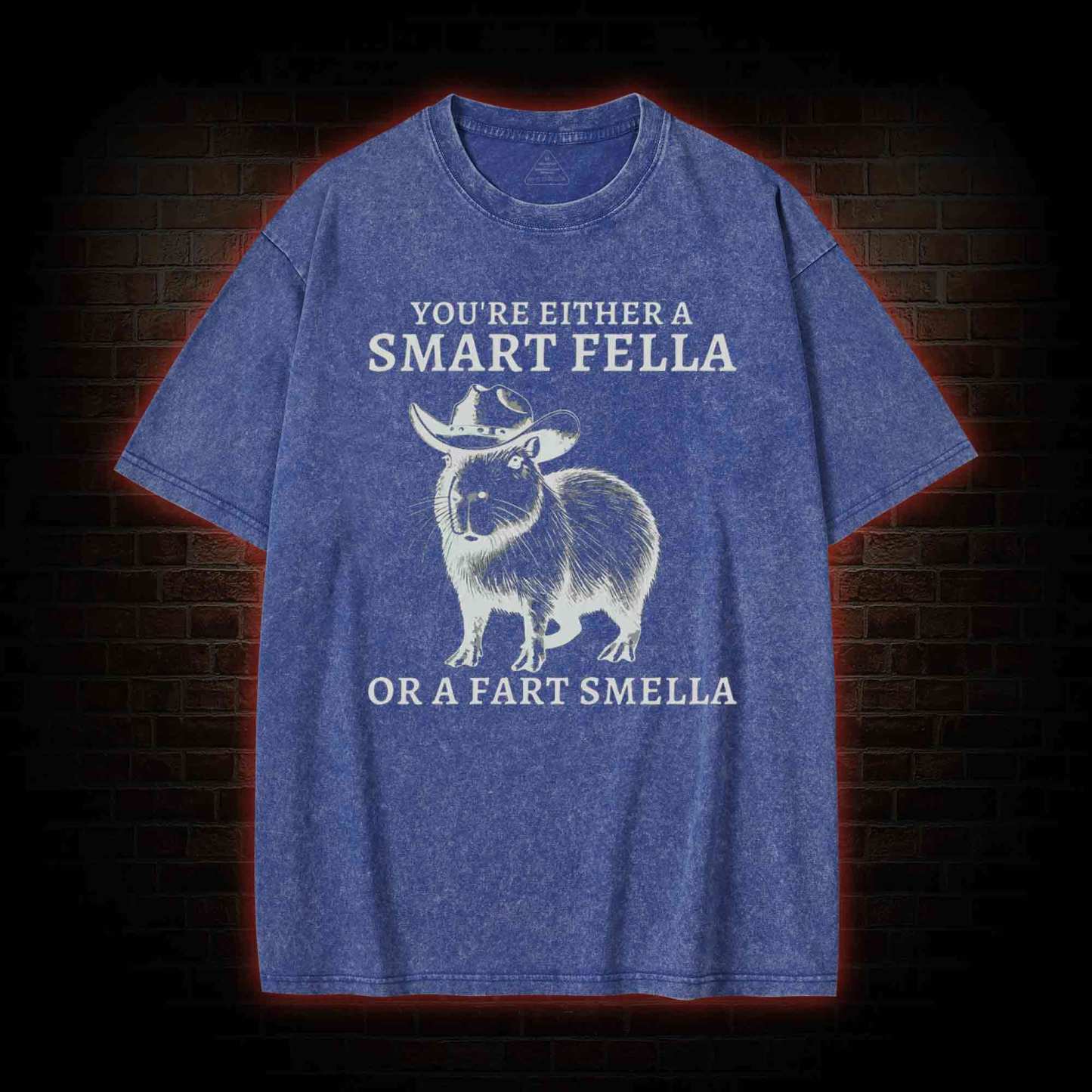 Smart Fella Capybara Washed T-shirt