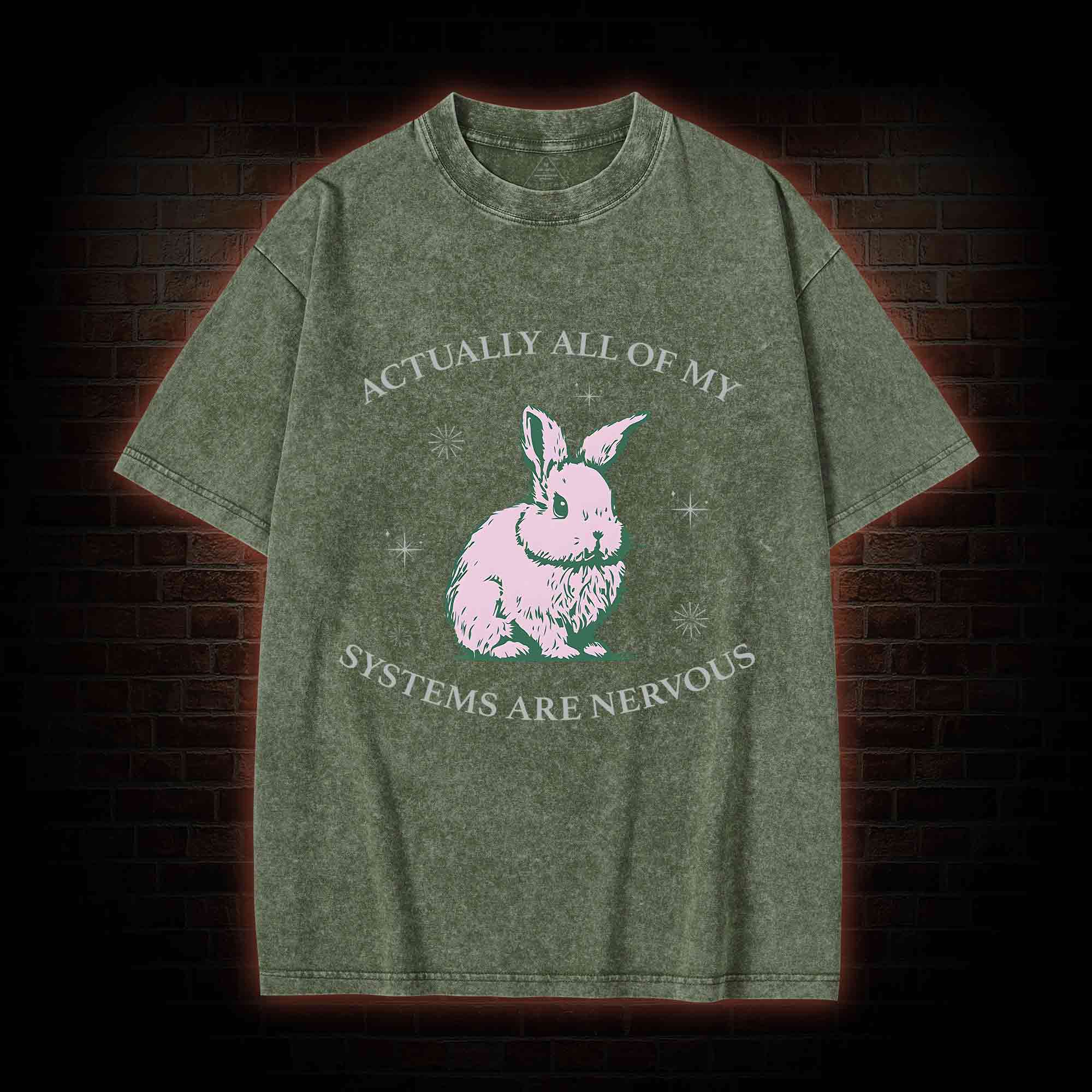 Actually All Of My Systems Are Nervous Washed T-shirt