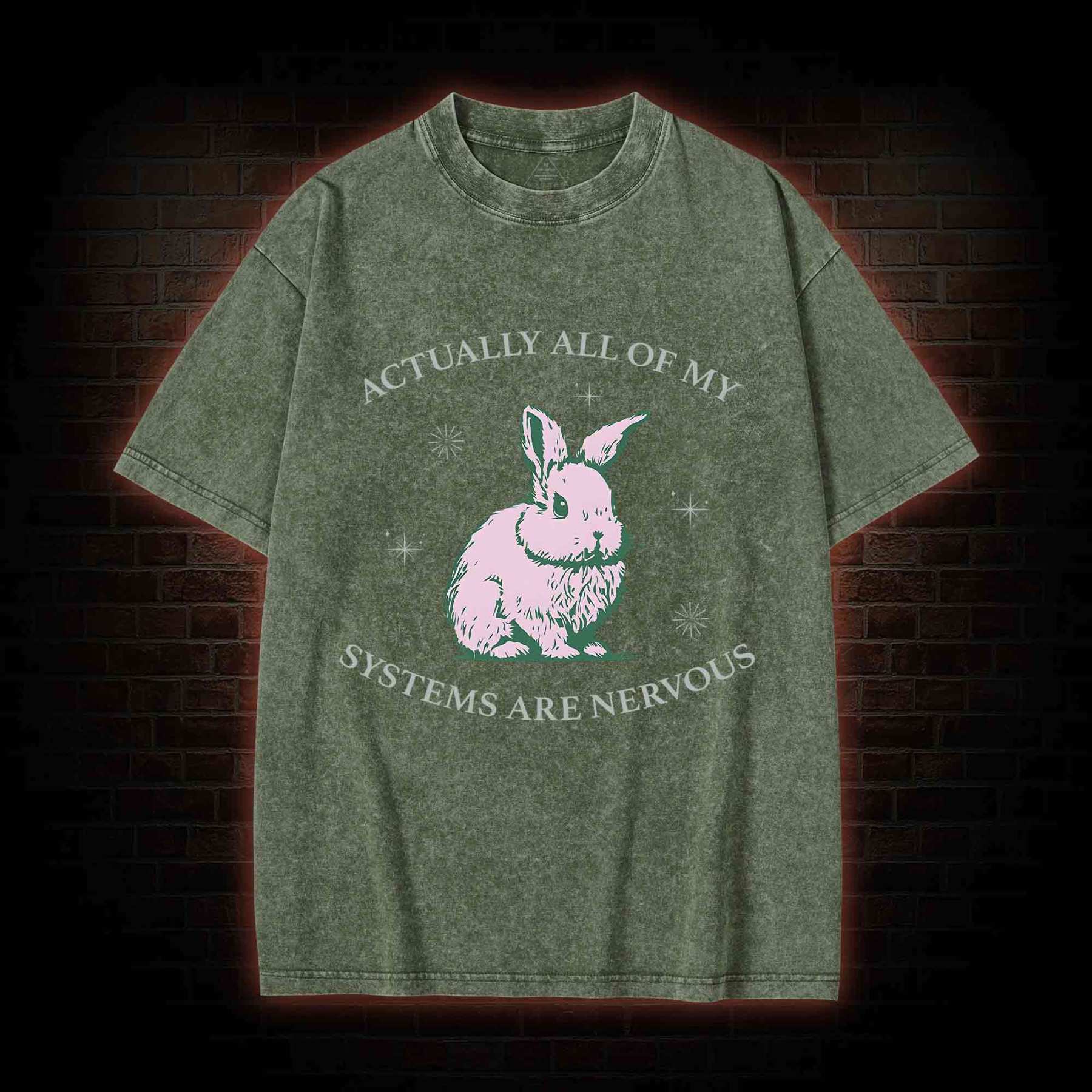 Actually All Of My Systems Are Nervous Washed T-shirt