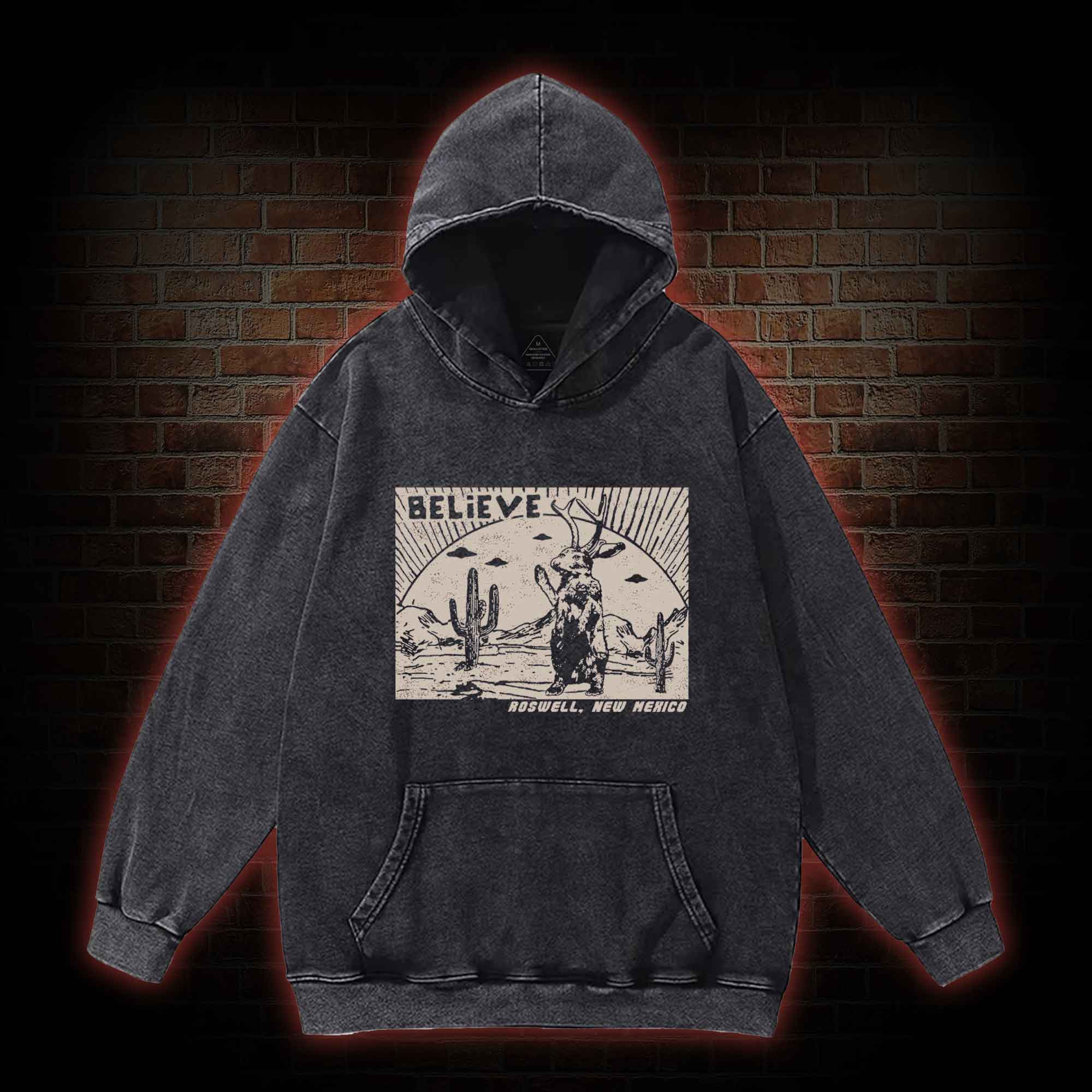 Believe Roswell New Nexico Washed Hoodie