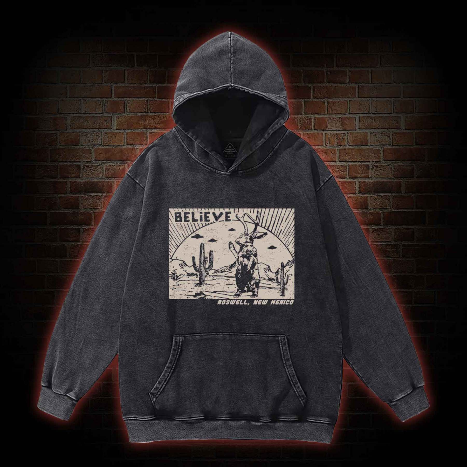 Believe Roswell New Nexico Washed Hoodie