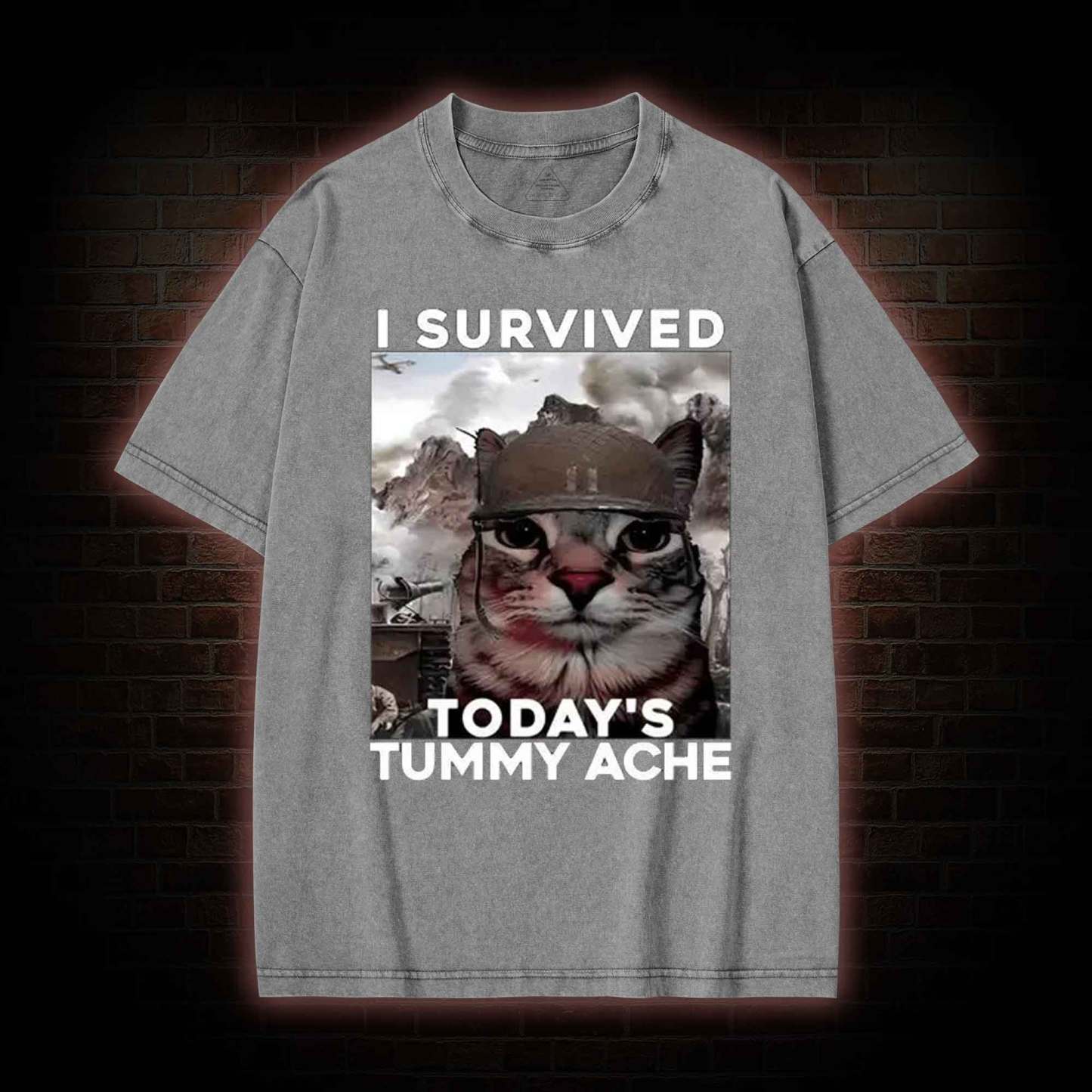 I Survived Today's Tummy Ache Washed T-shirt