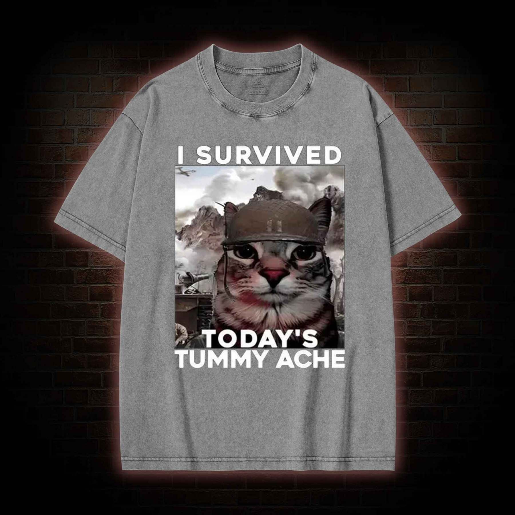 I Survived Today's Tummy Ache Washed T-shirt