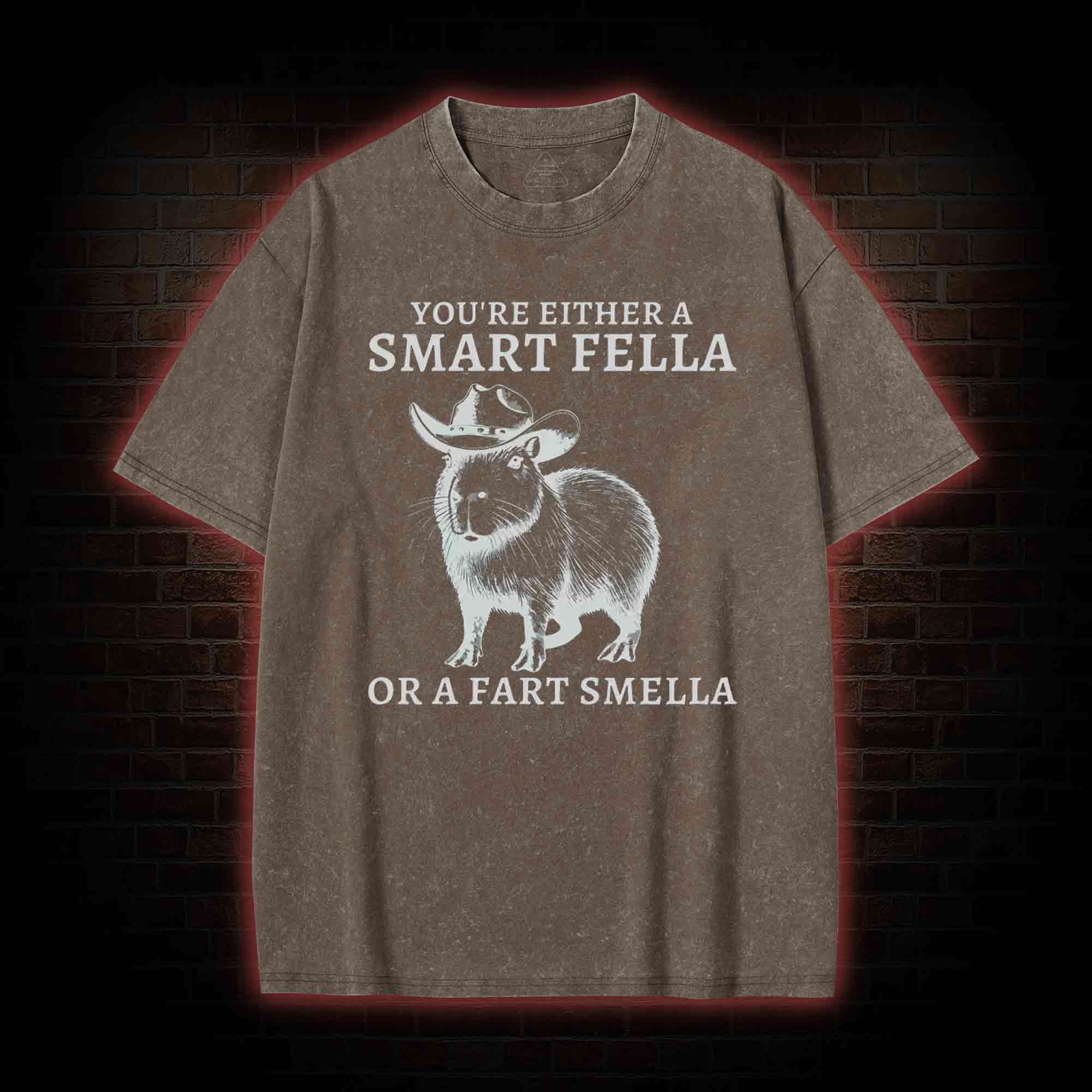 Smart Fella Capybara Washed T-shirt