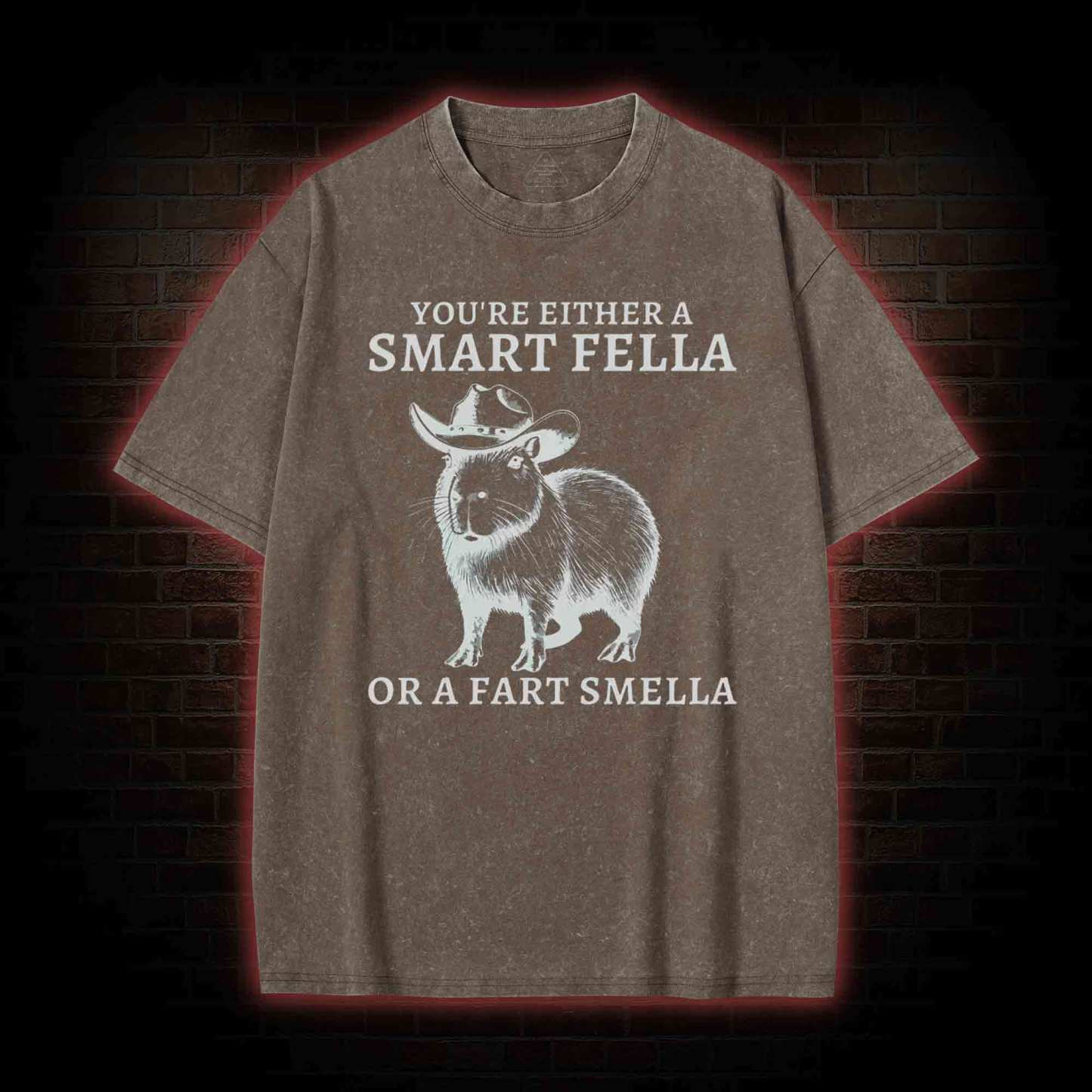 Smart Fella Capybara Washed T-shirt