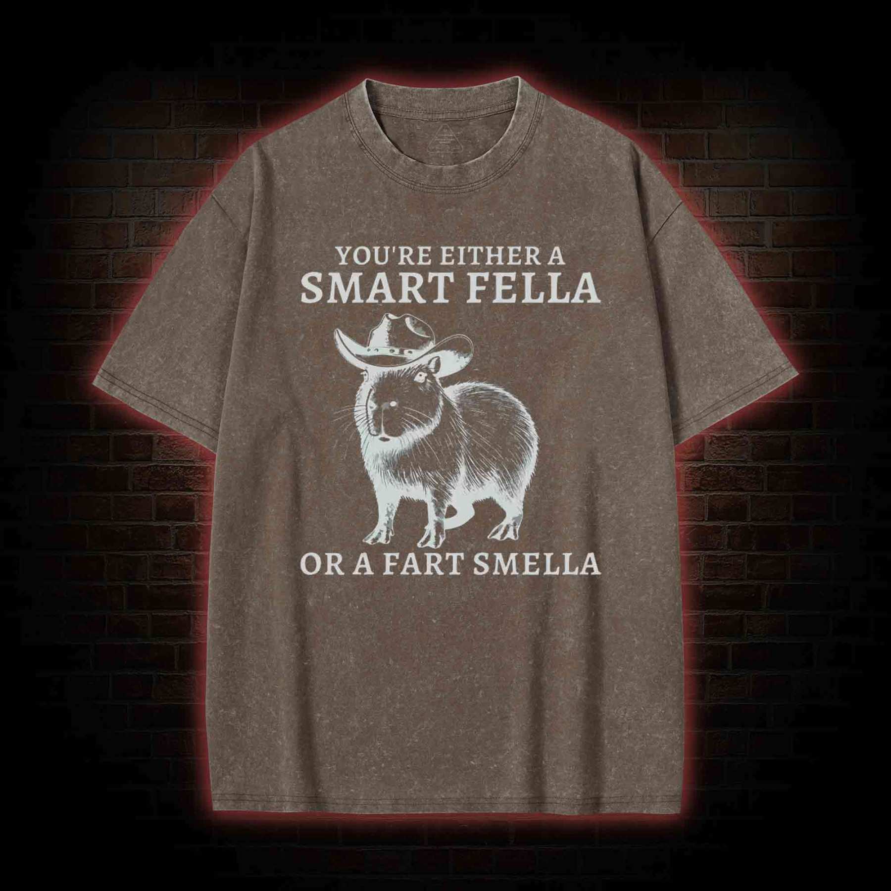 Smart Fella Capybara Washed T-shirt