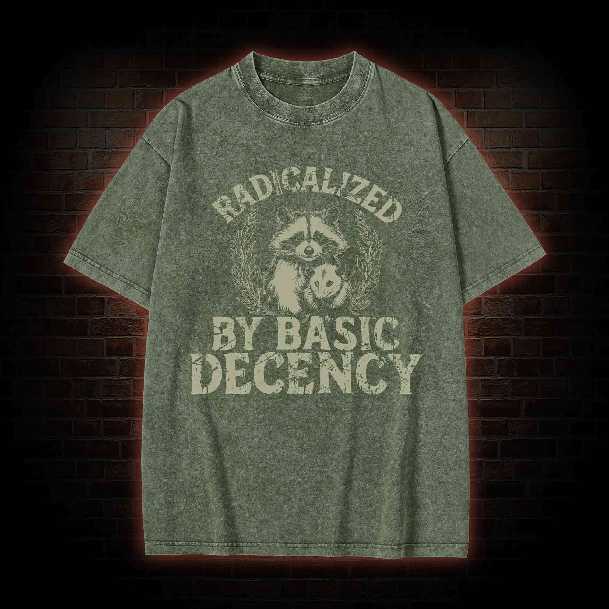 Radicalized by Basic Decency Raccoon Washed T-shirt