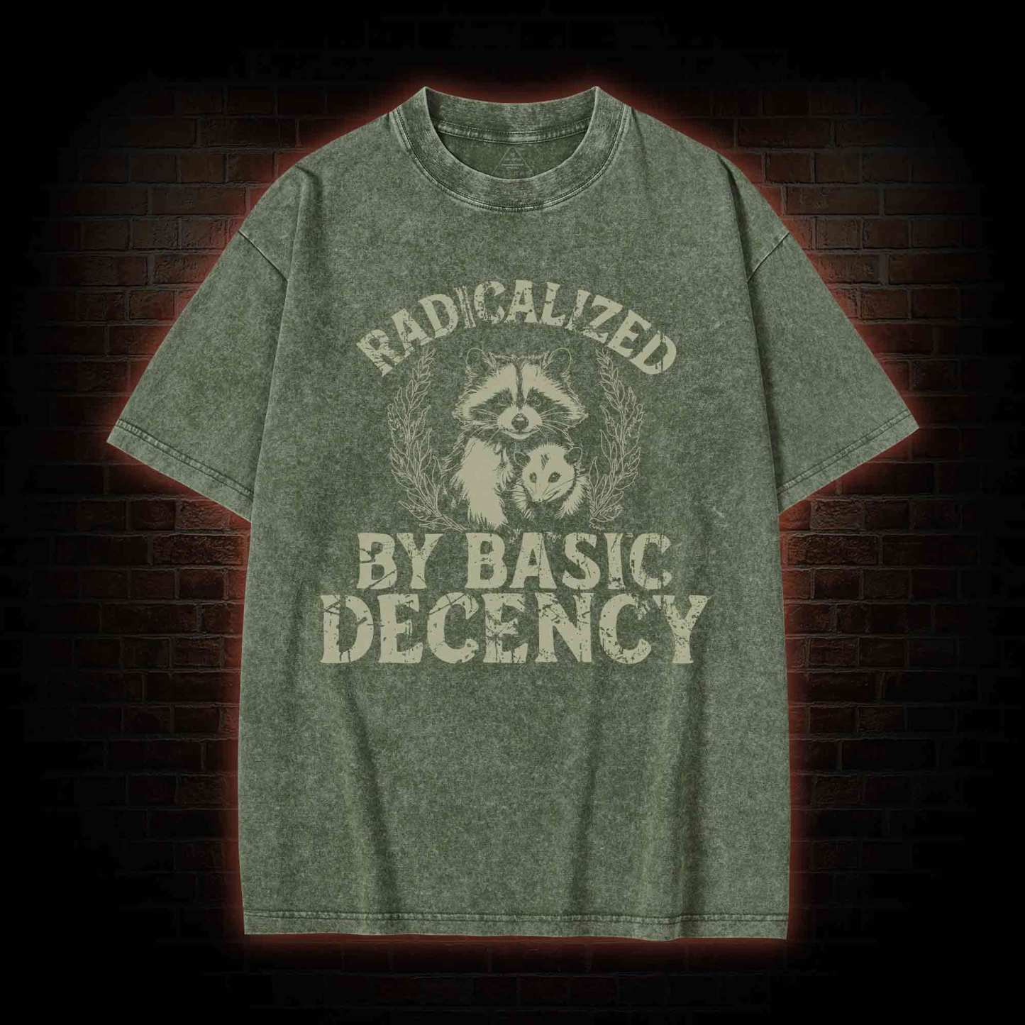 Radicalized by Basic Decency Raccoon Washed T-shirt