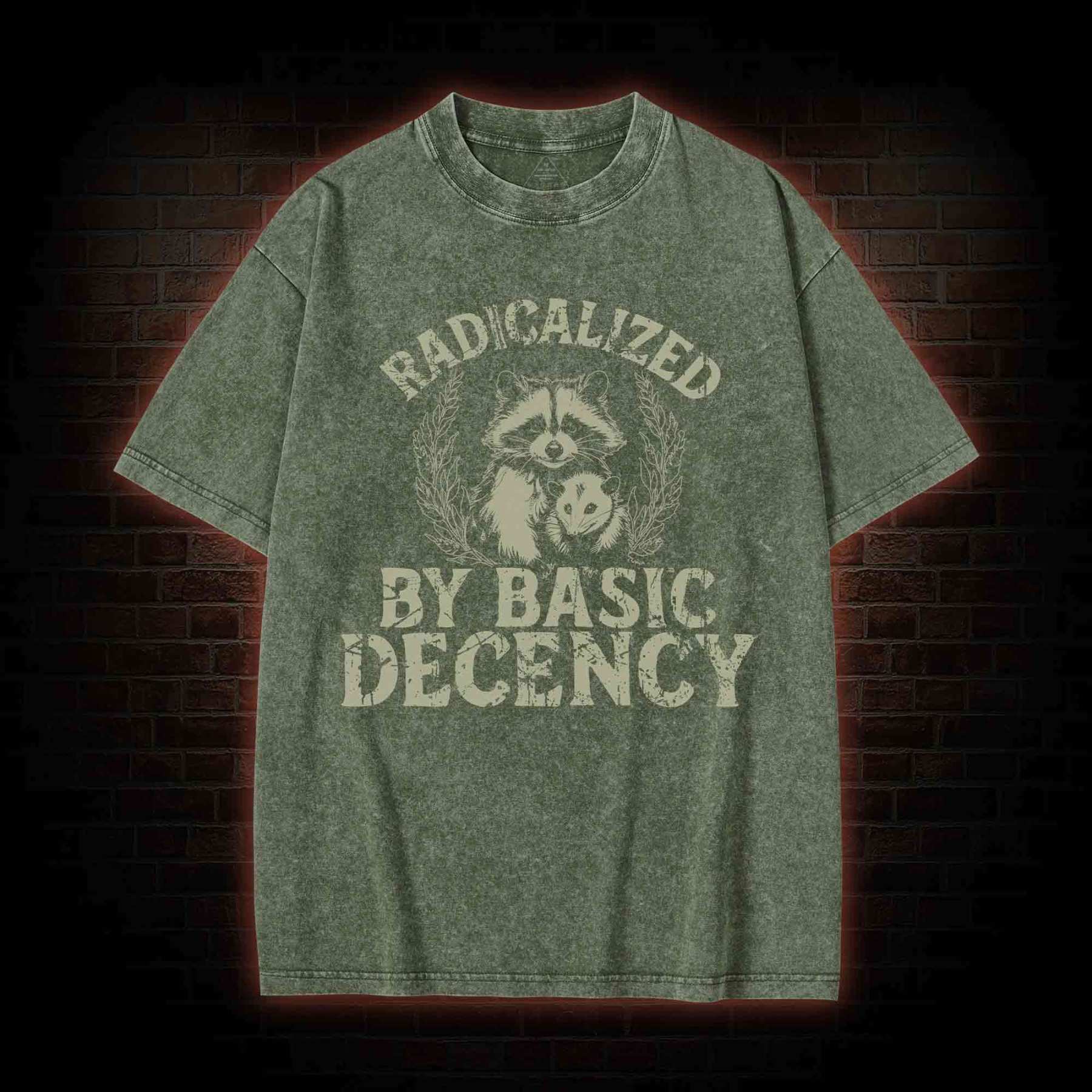 Radicalized by Basic Decency Raccoon Washed T-shirt