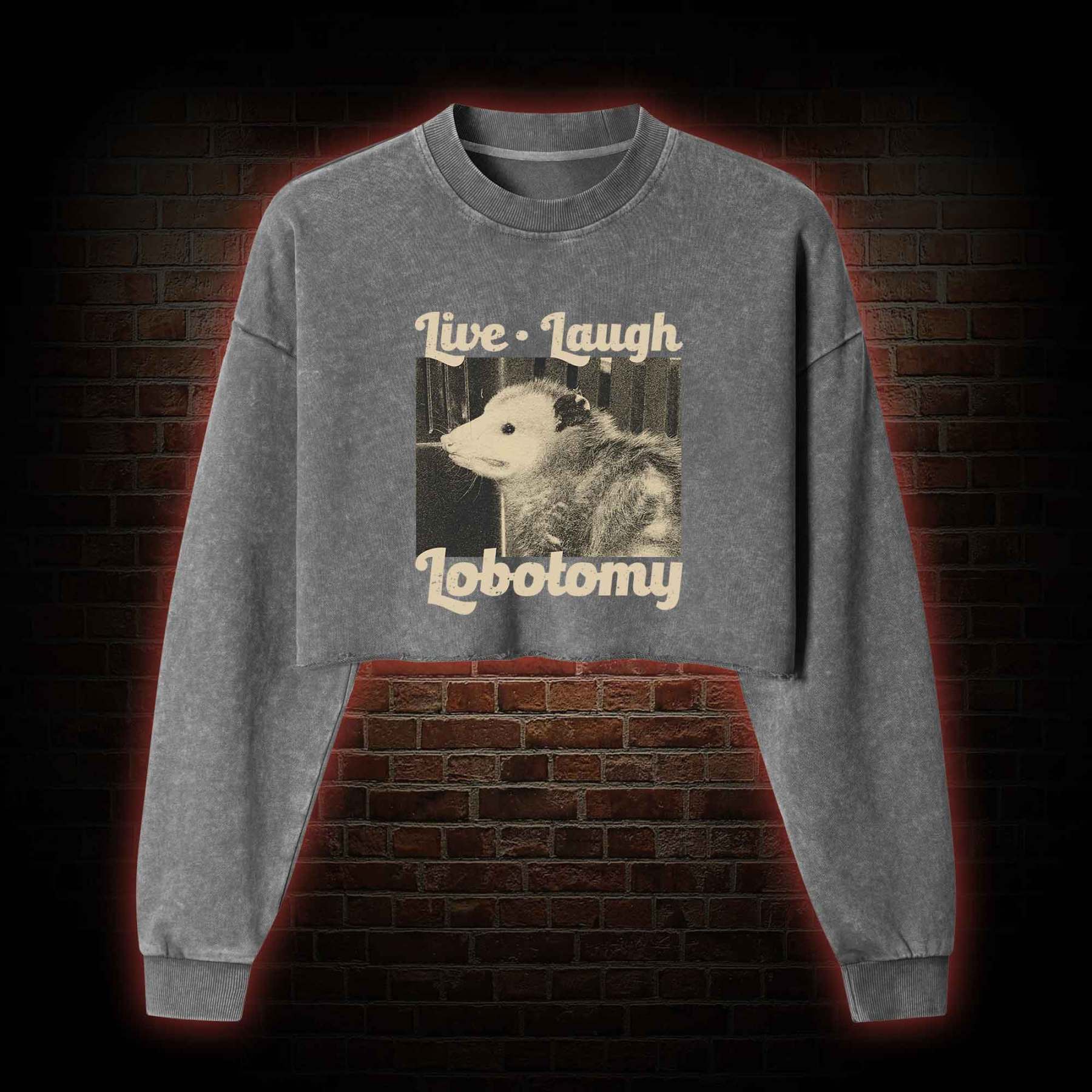 Live Laugh Lobotomy Washed Cropped Sweatshirts