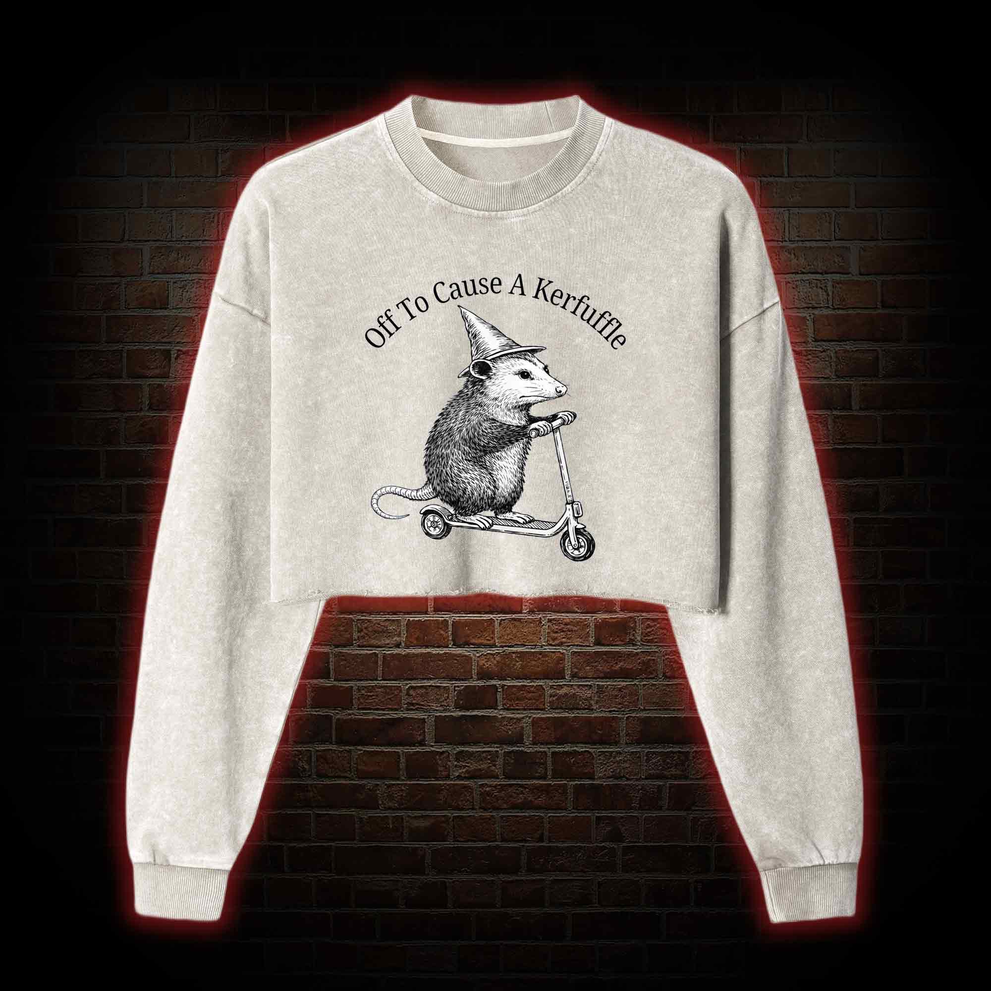 Cause a Kerfuffle Washed Cropped Sweatshirts