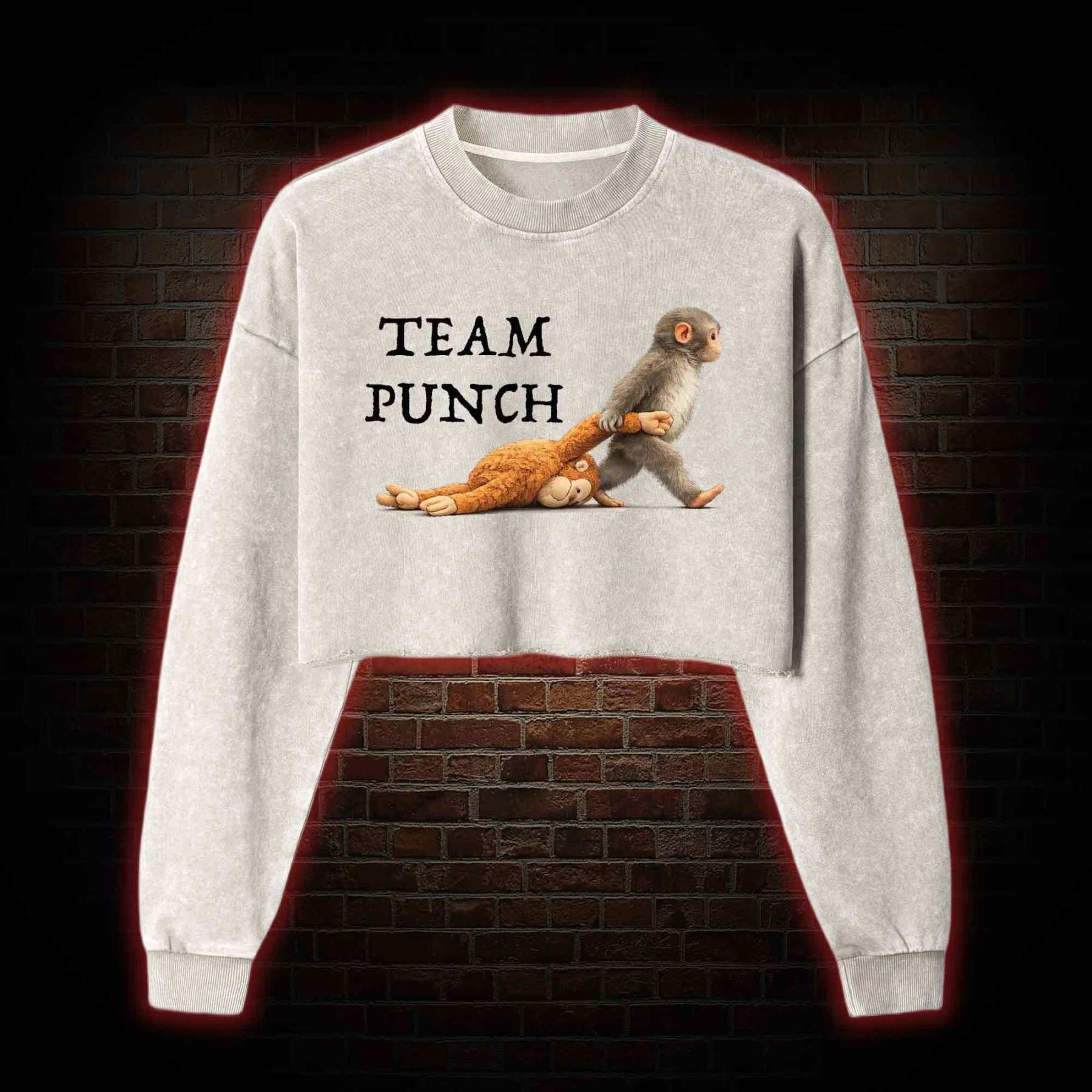 Team Punch Washed Cropped Sweatshirts