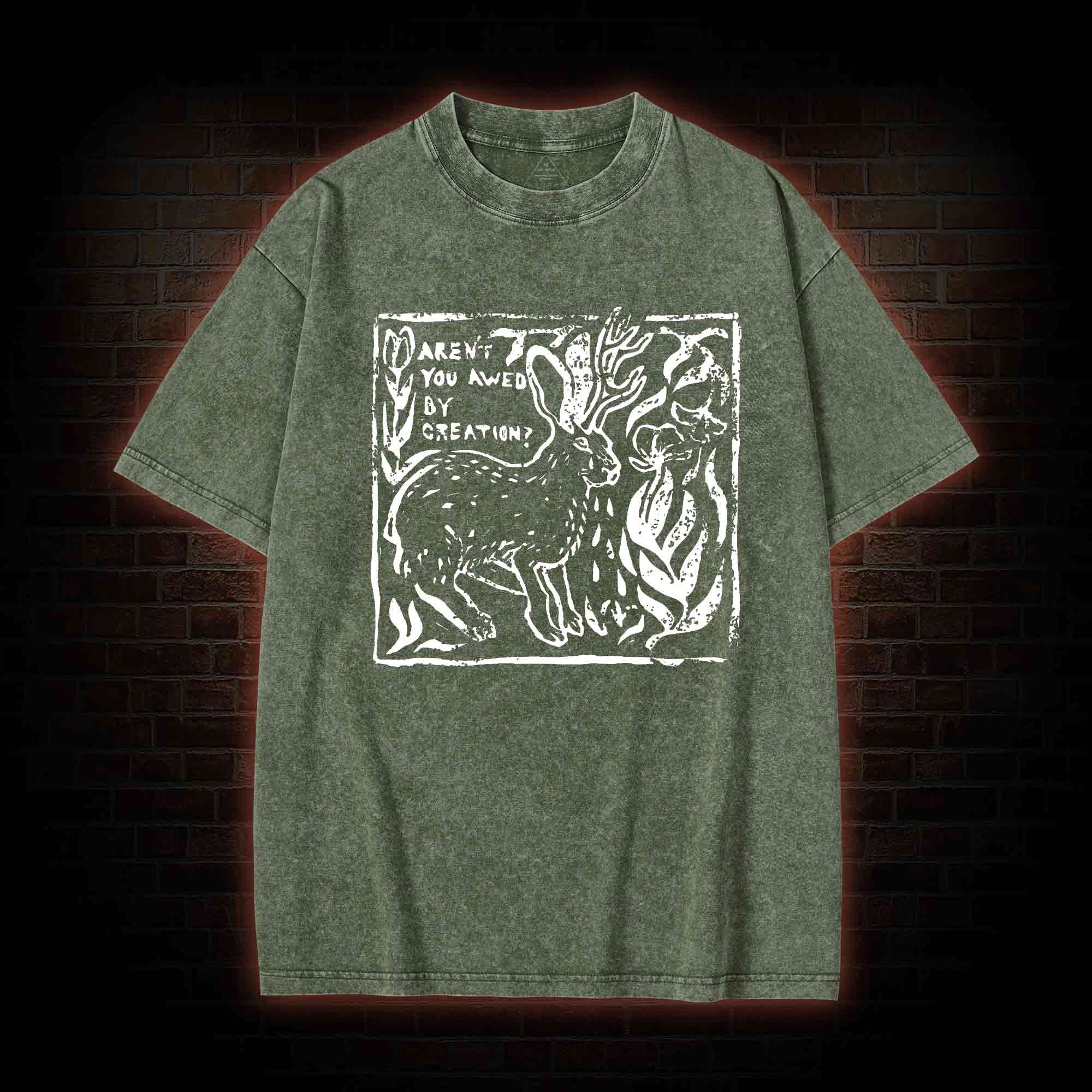 Aren't You Awed by Creation Washed T-shirt