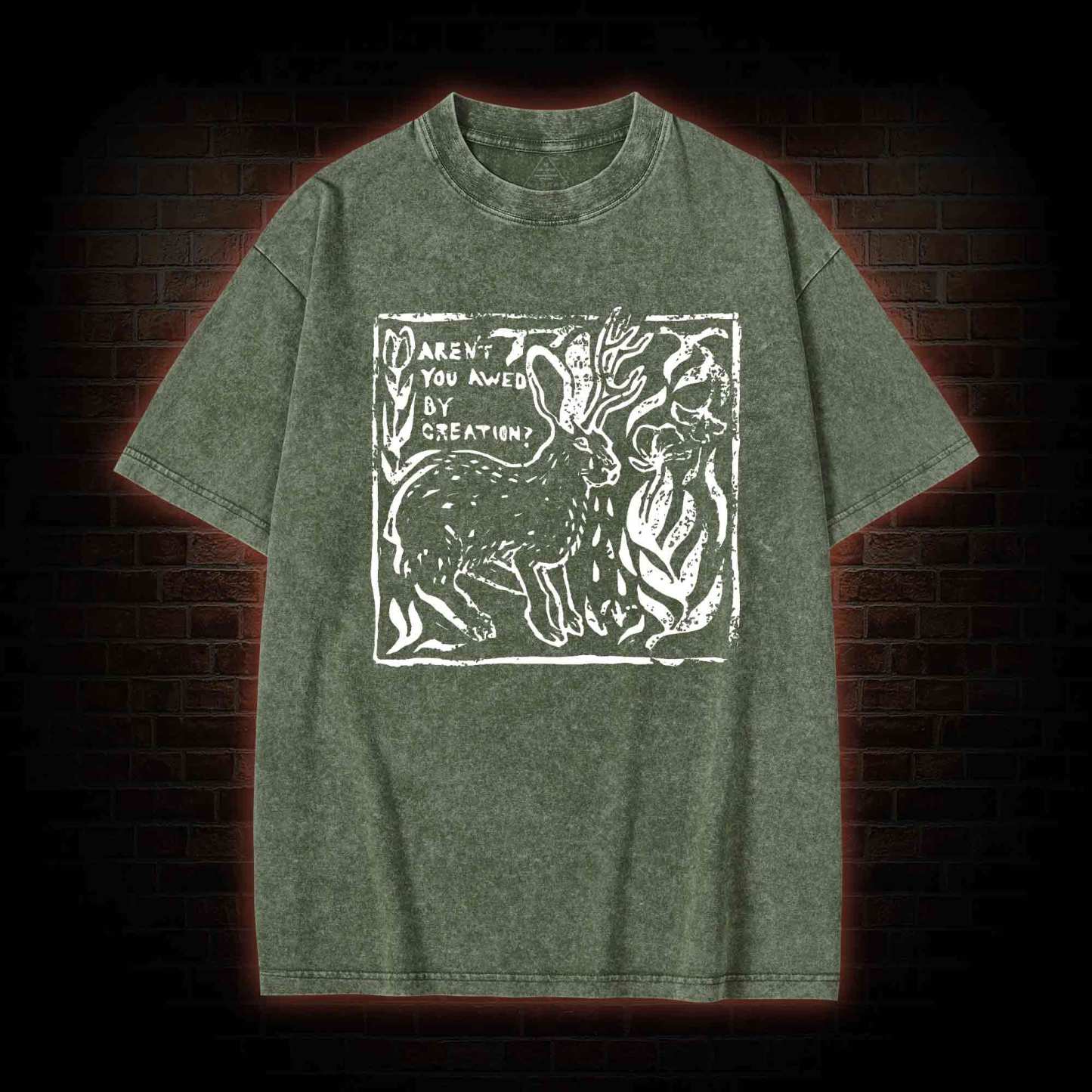 Aren't You Awed by Creation Washed T-shirt