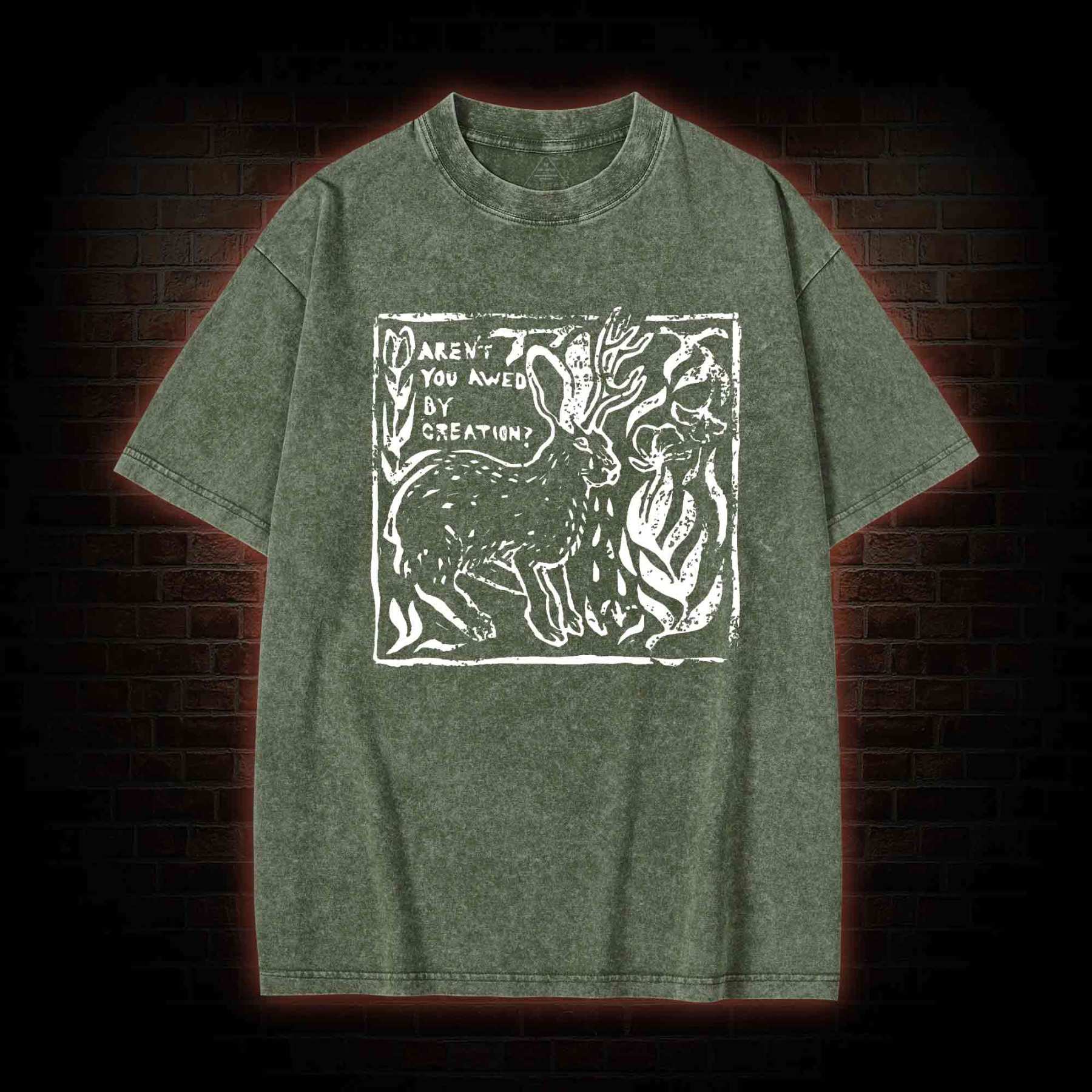 Aren't You Awed by Creation Washed T-shirt