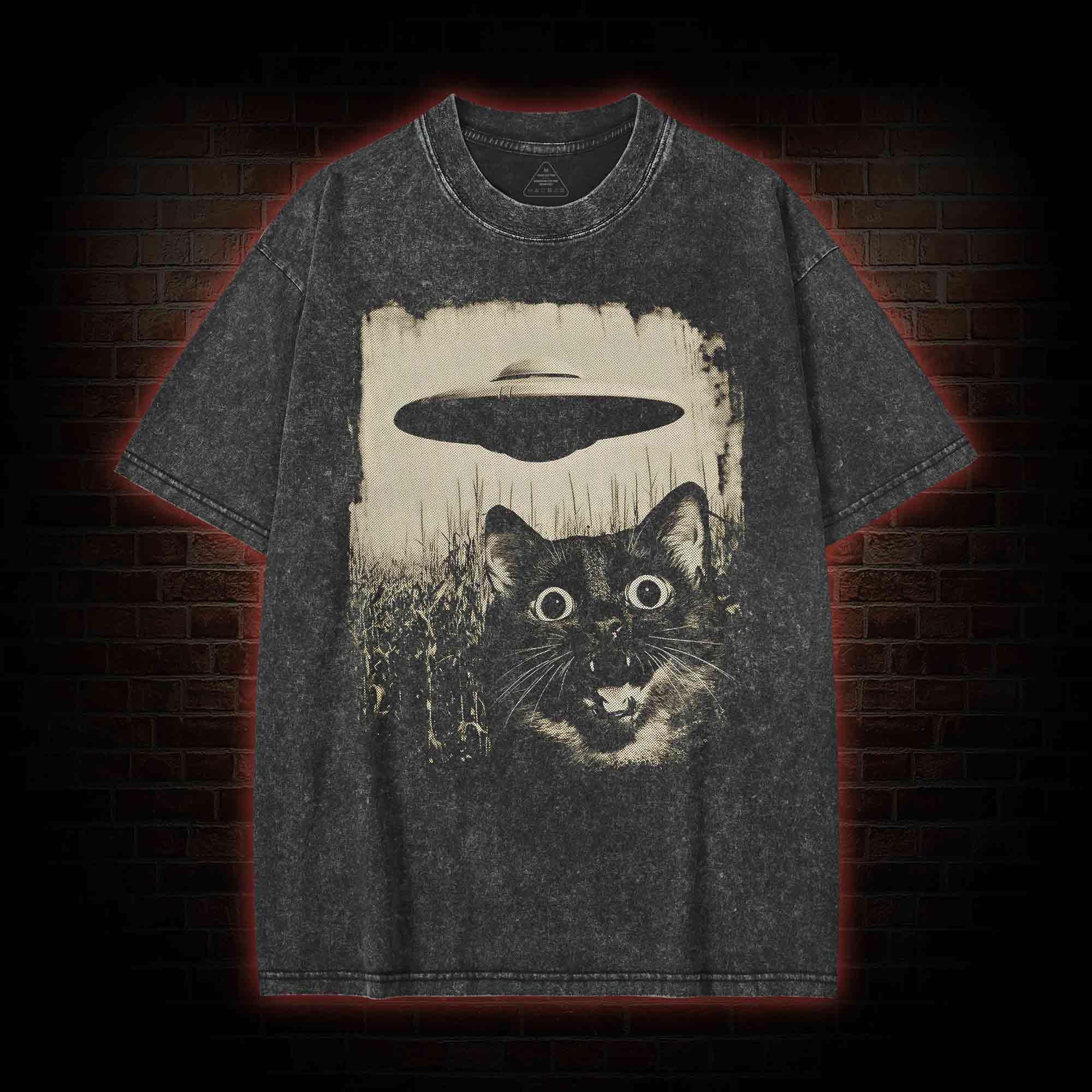 UFO & Cat Washed T-shirt