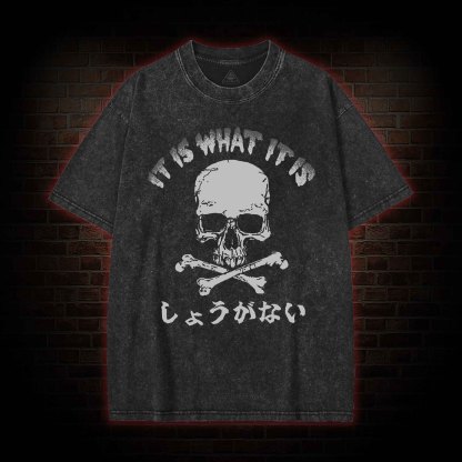 It is What it is  Washed T-shirt