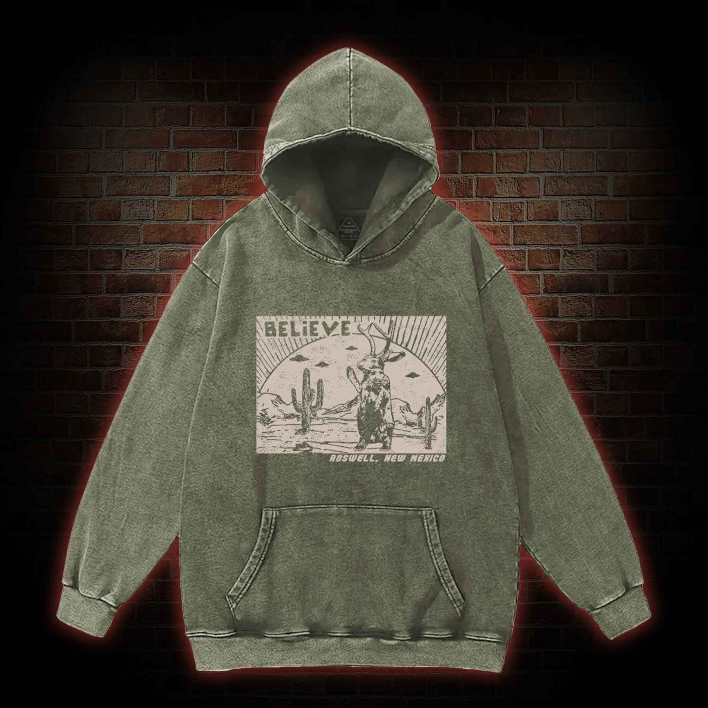 Believe Roswell New Nexico Washed Hoodie