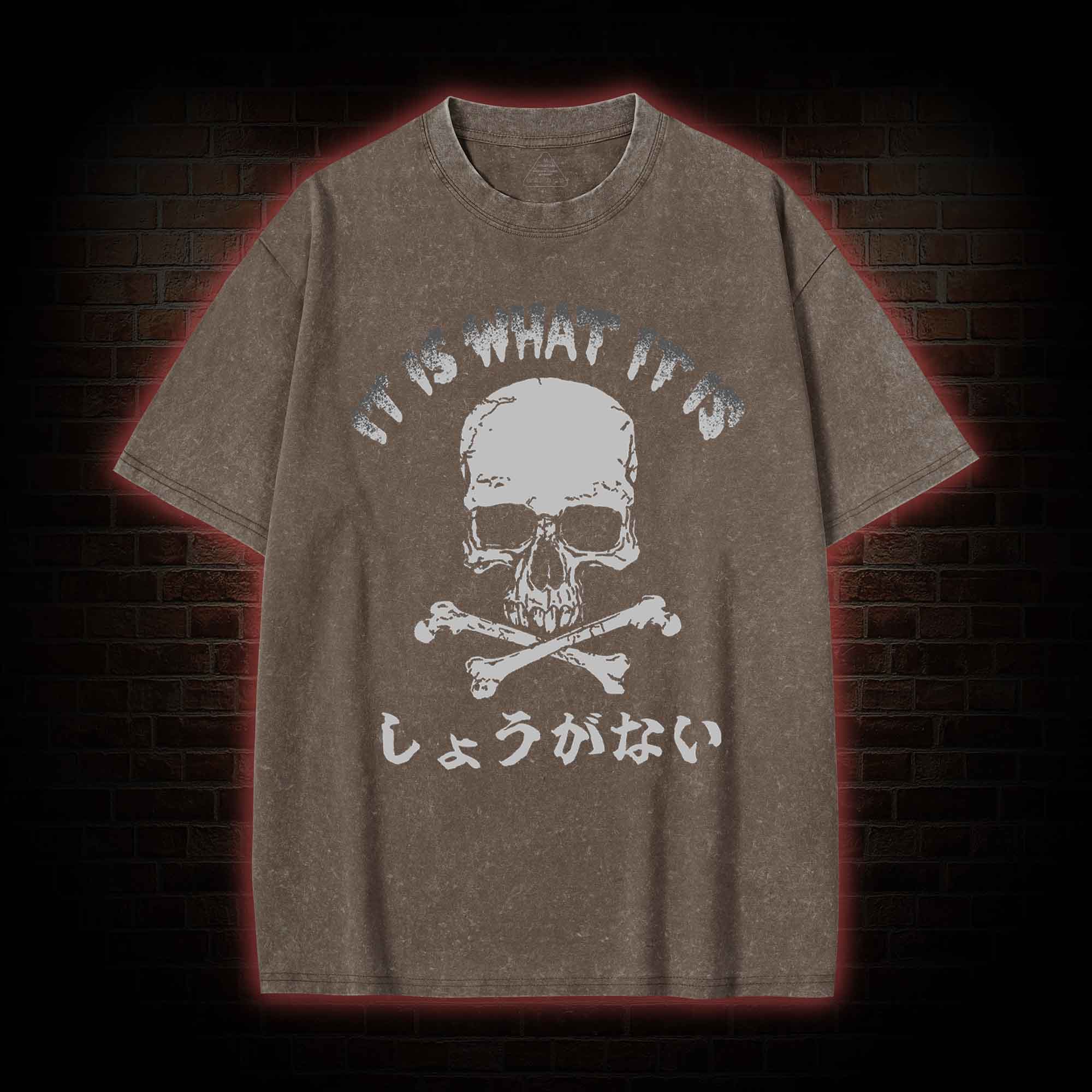 It is What it is  Washed T-shirt