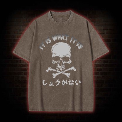It is What it is  Washed T-shirt