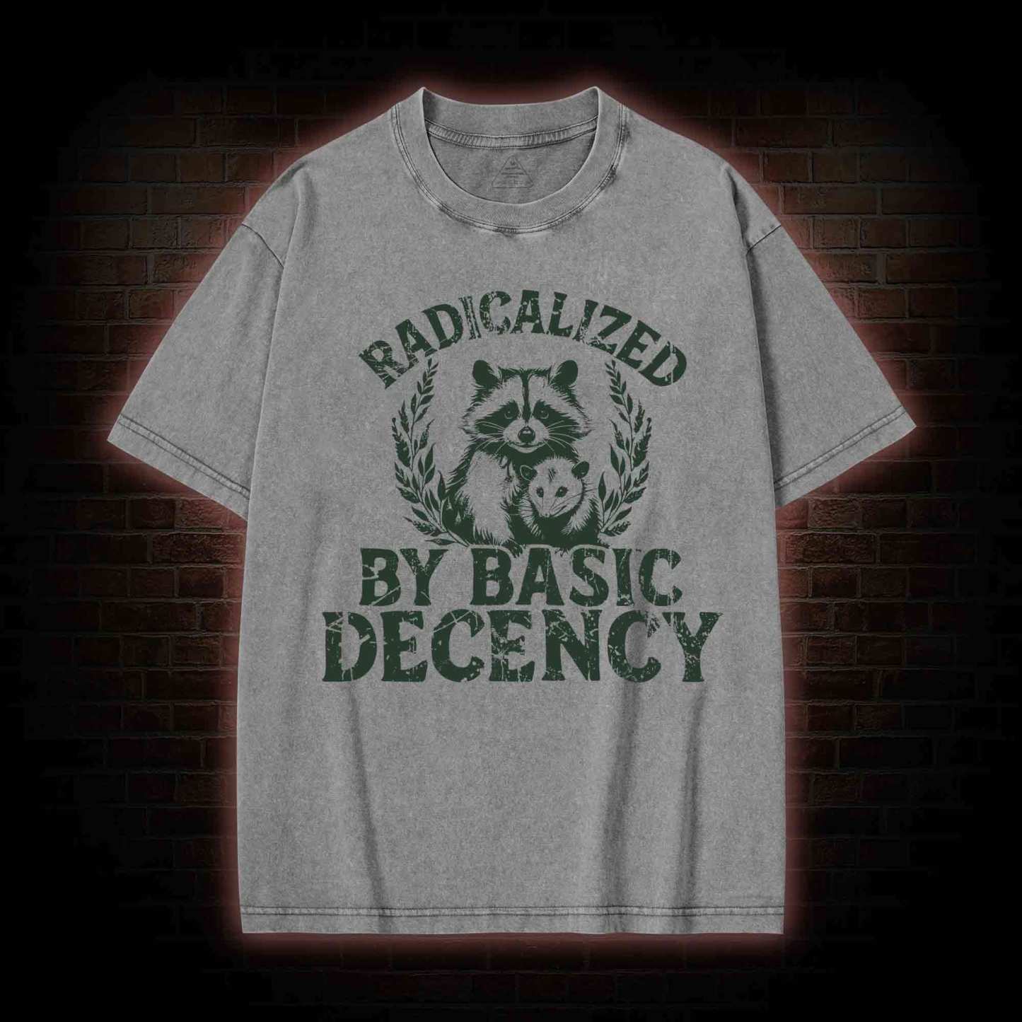 Radicalized by Basic Decency Raccoon Washed T-shirt
