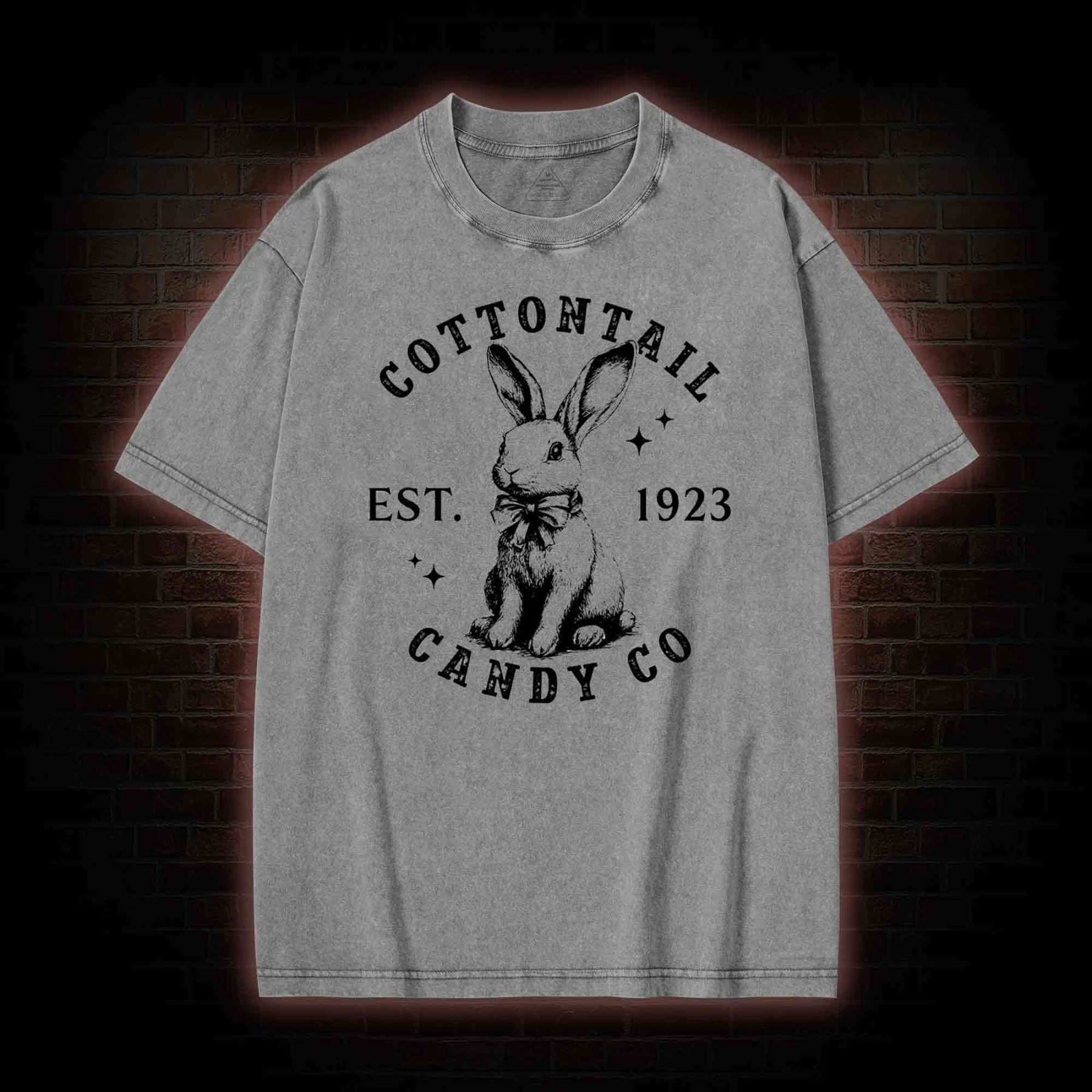 Easter Day Washed T-shirt