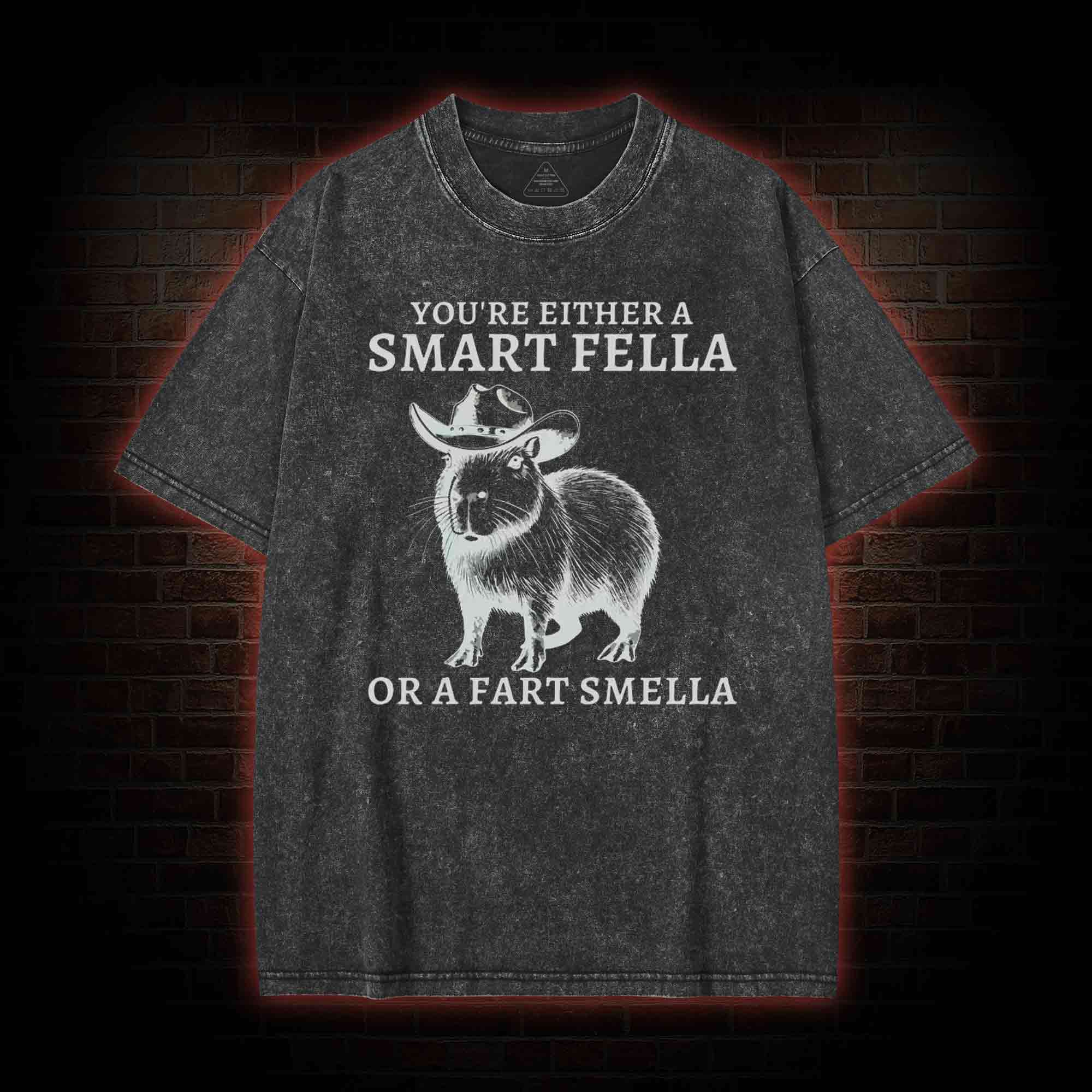 Smart Fella Capybara Washed T-shirt