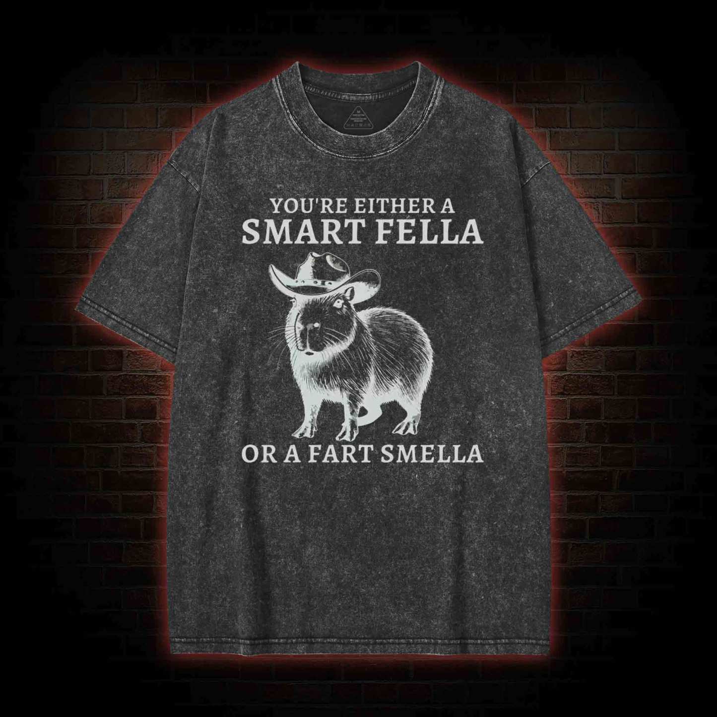 Smart Fella Capybara Washed T-shirt