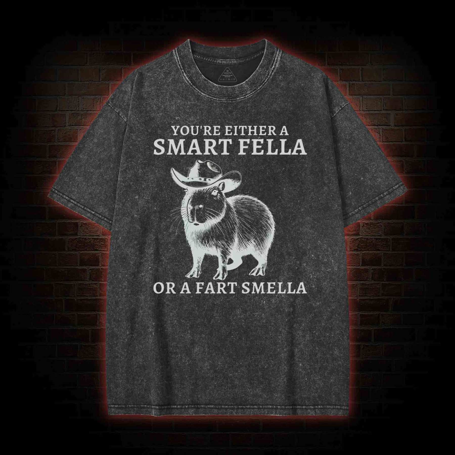 Smart Fella Capybara Washed T-shirt