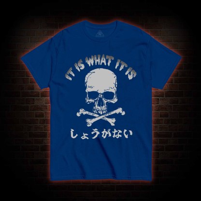 It is What it is T-shirt