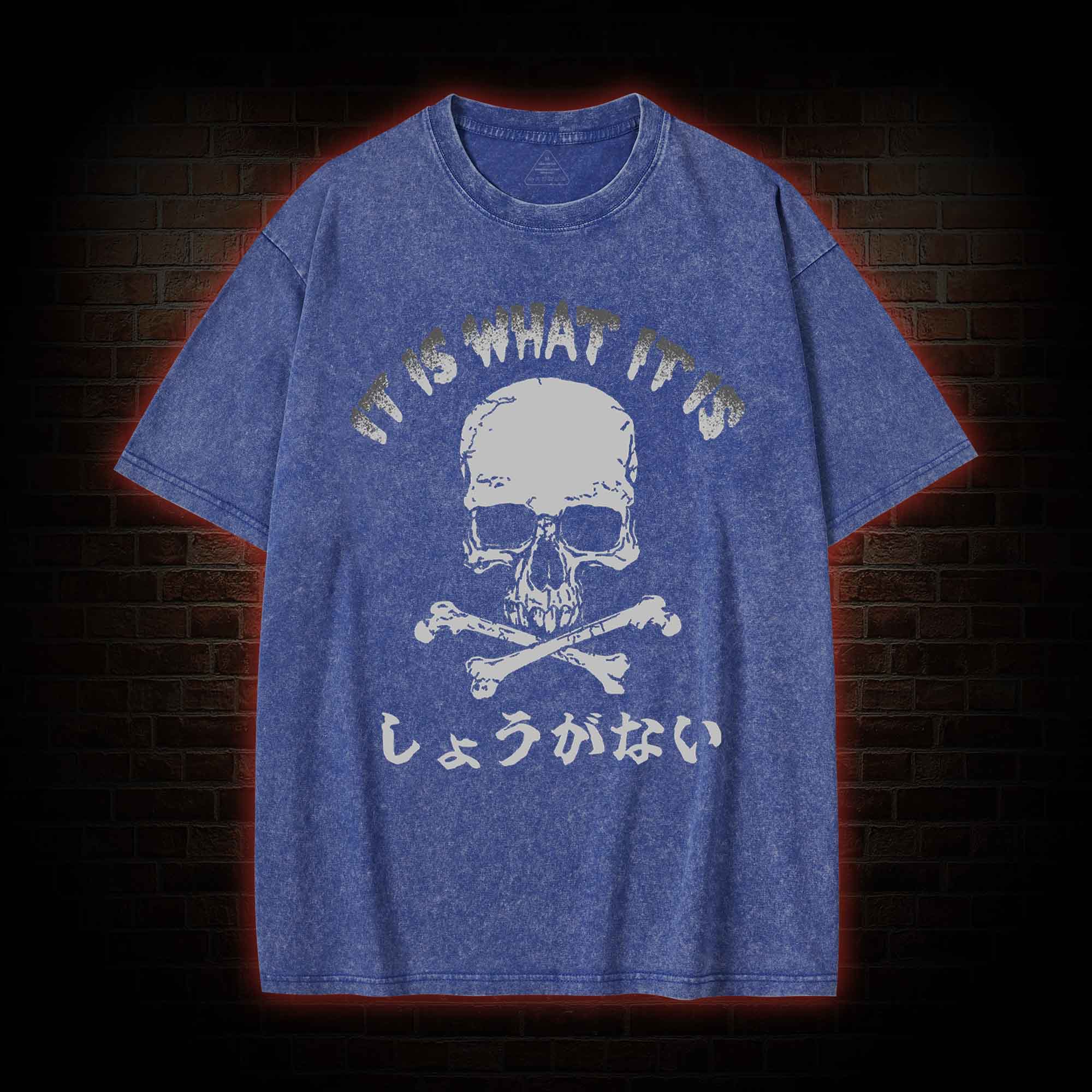 It is What it is  Washed T-shirt