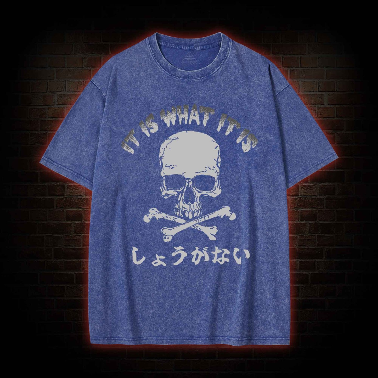 It is What it is  Washed T-shirt