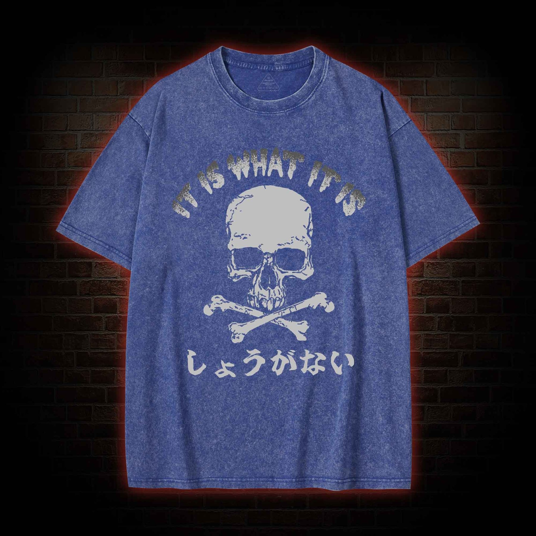 It is What it is  Washed T-shirt