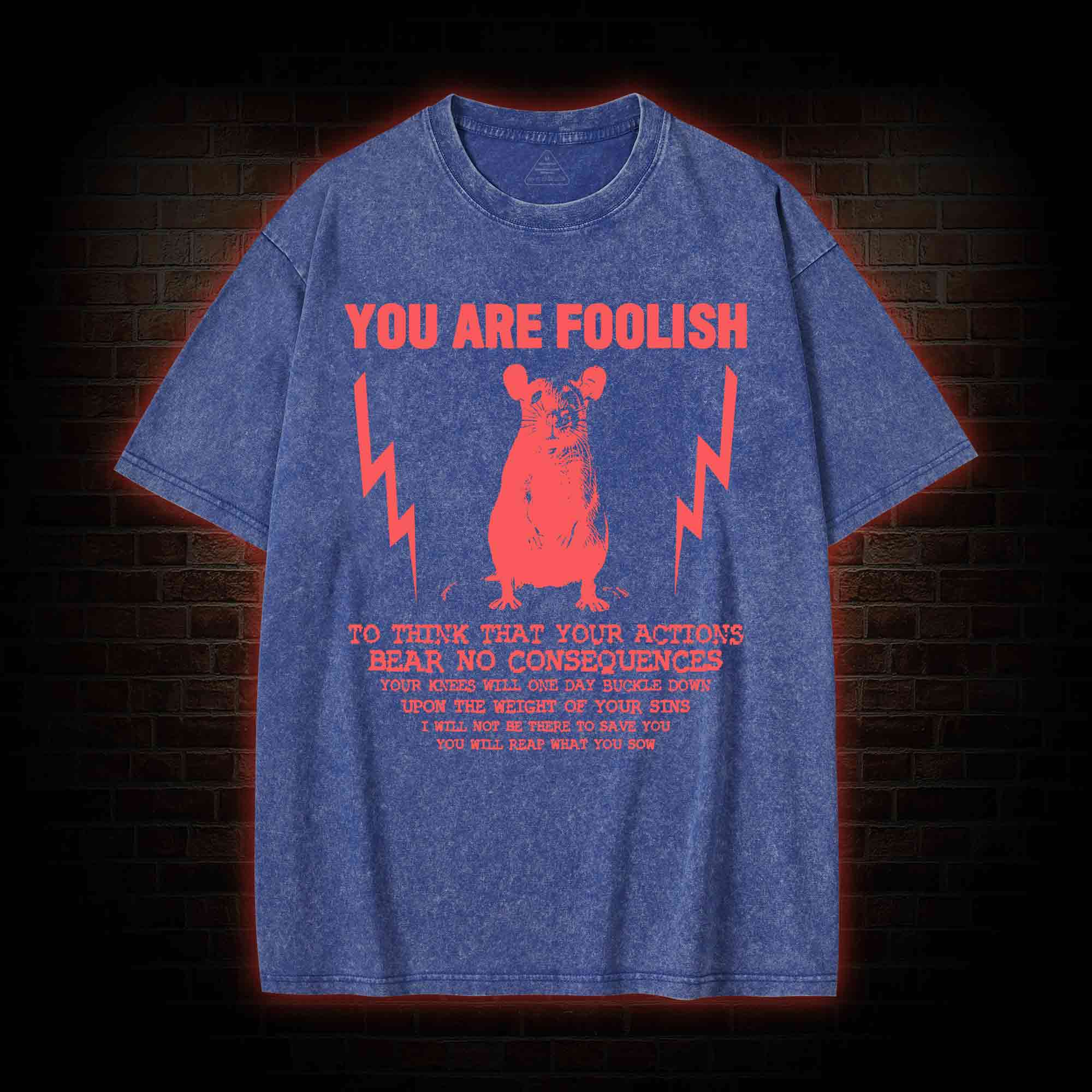 You Are Foolish Washed T-shirt