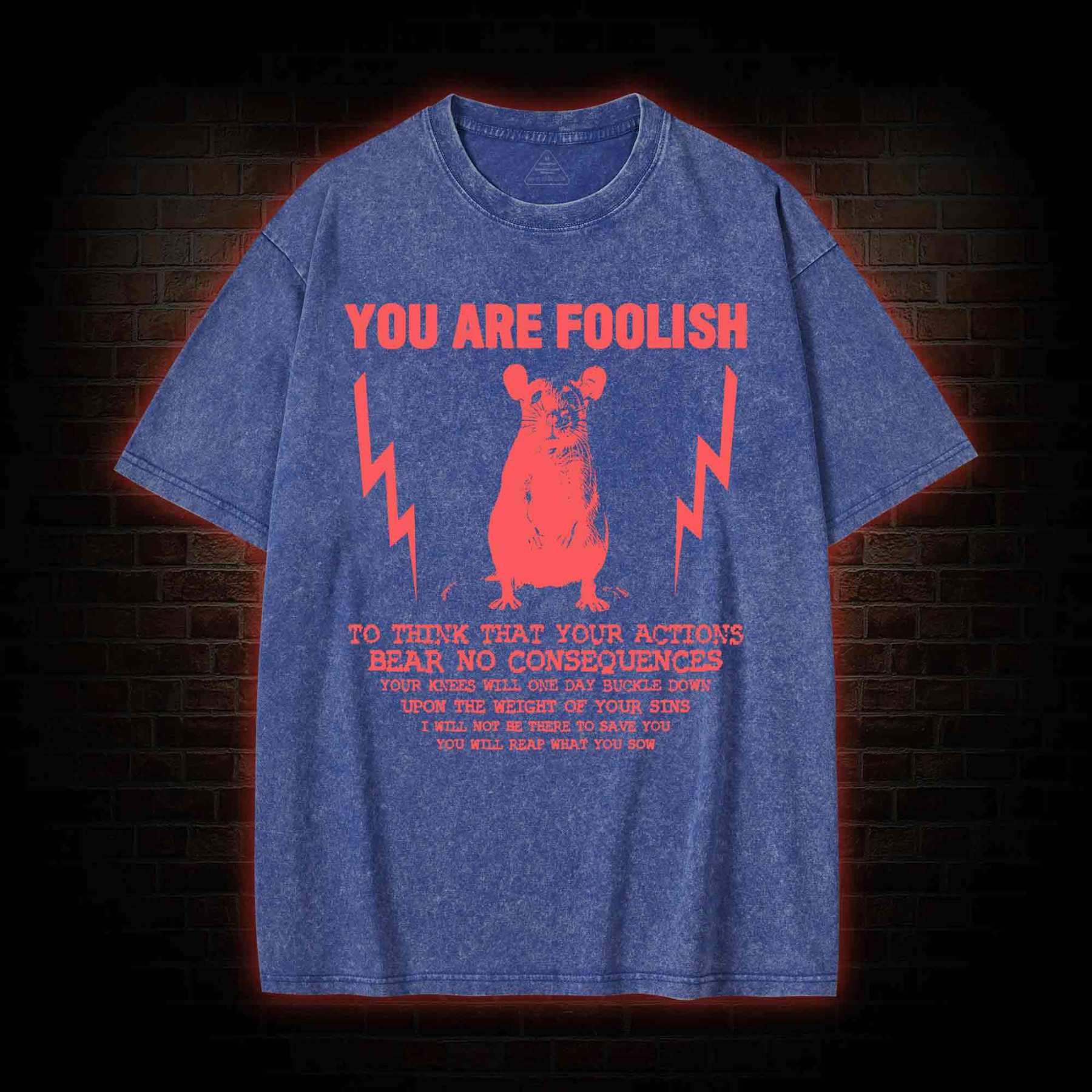 You Are Foolish Washed T-shirt