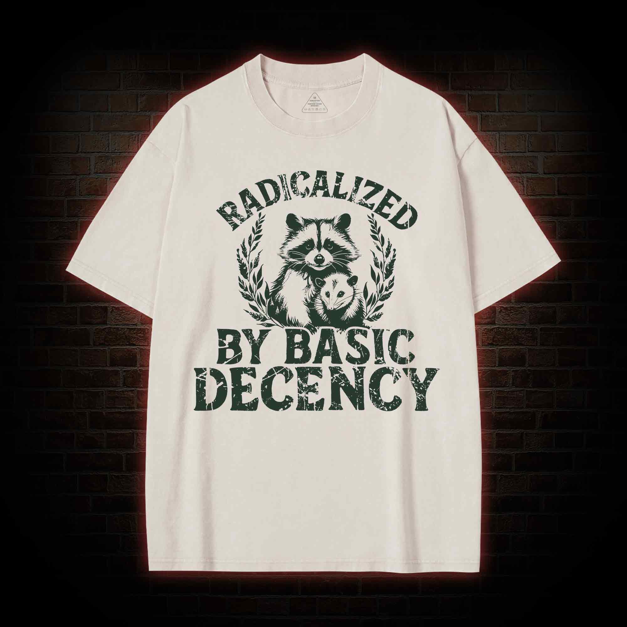 Radicalized by Basic Decency Raccoon Washed T-shirt