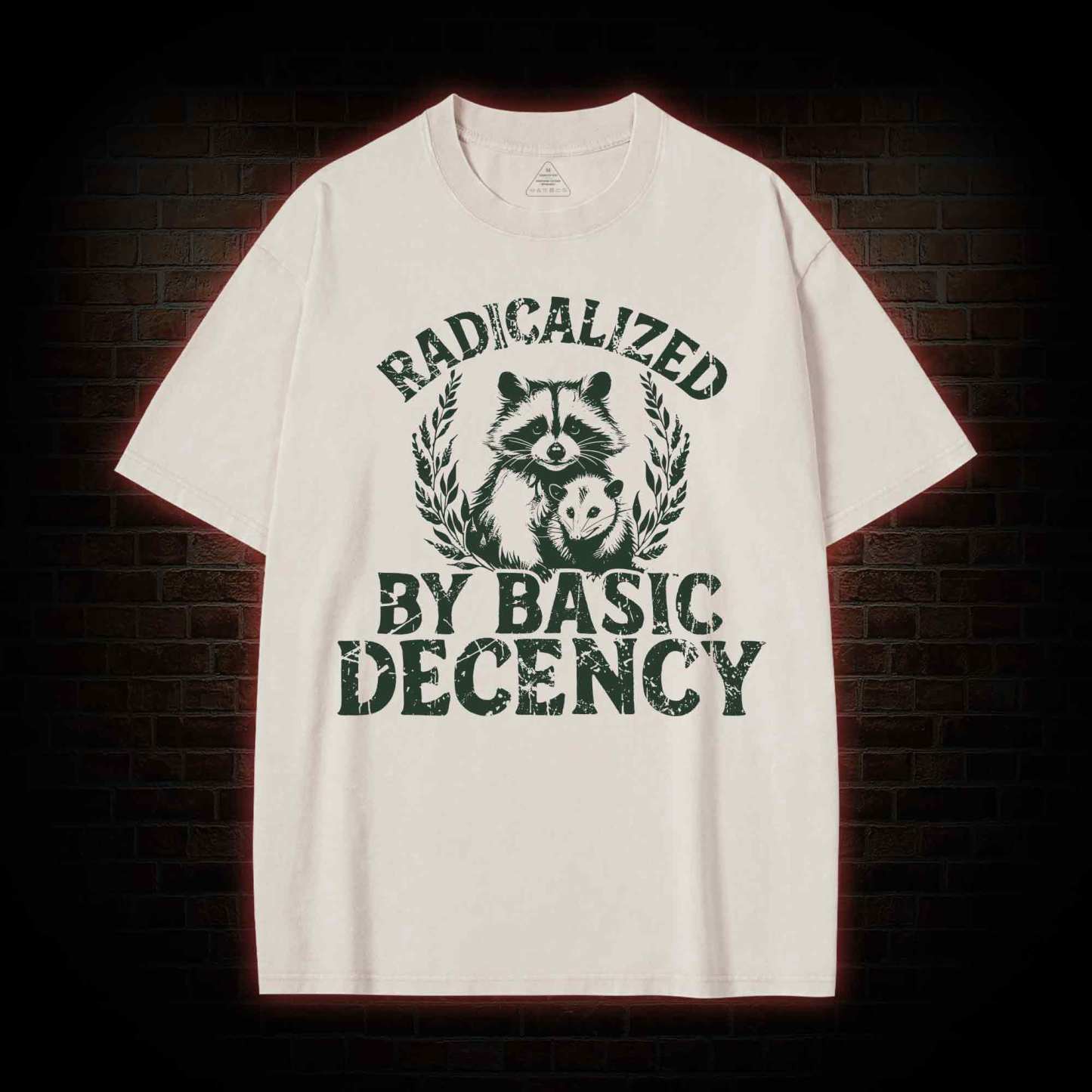 Radicalized by Basic Decency Raccoon Washed T-shirt