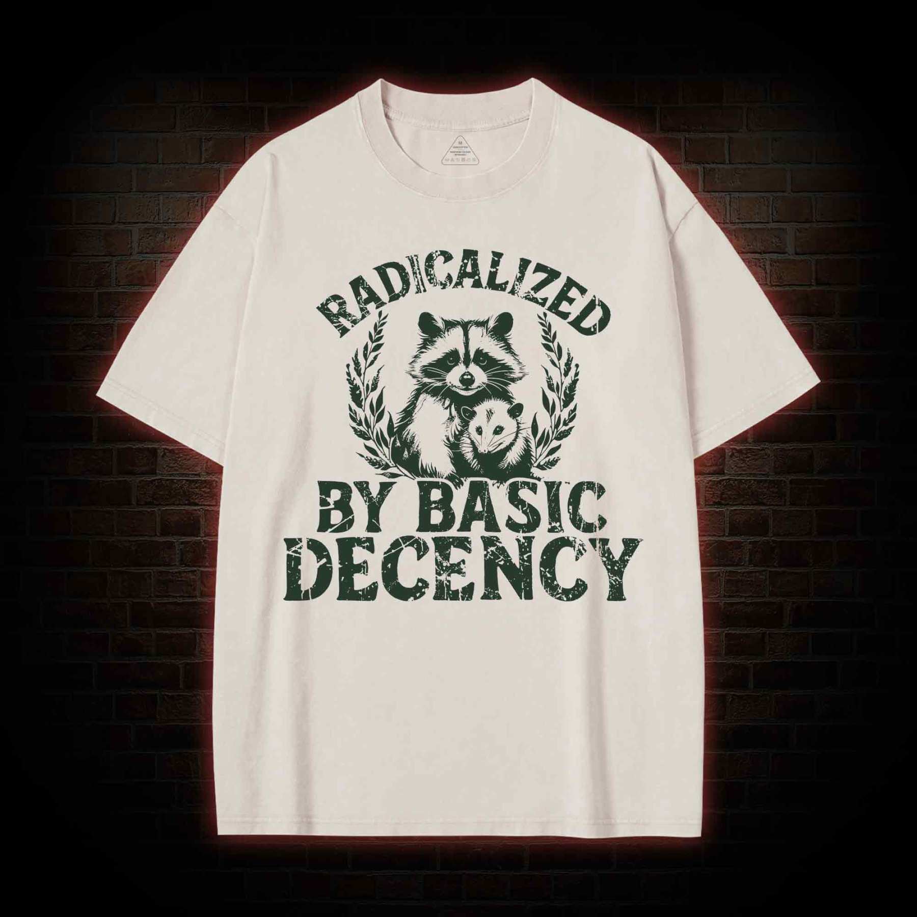 Radicalized by Basic Decency Raccoon Washed T-shirt
