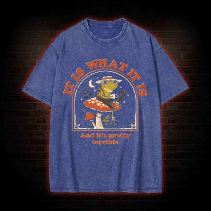 It Is What It Is Washed T-shirt