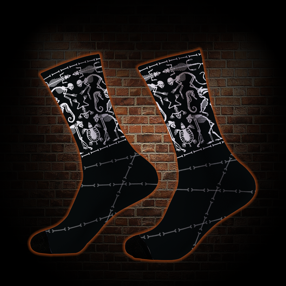 019 Socks