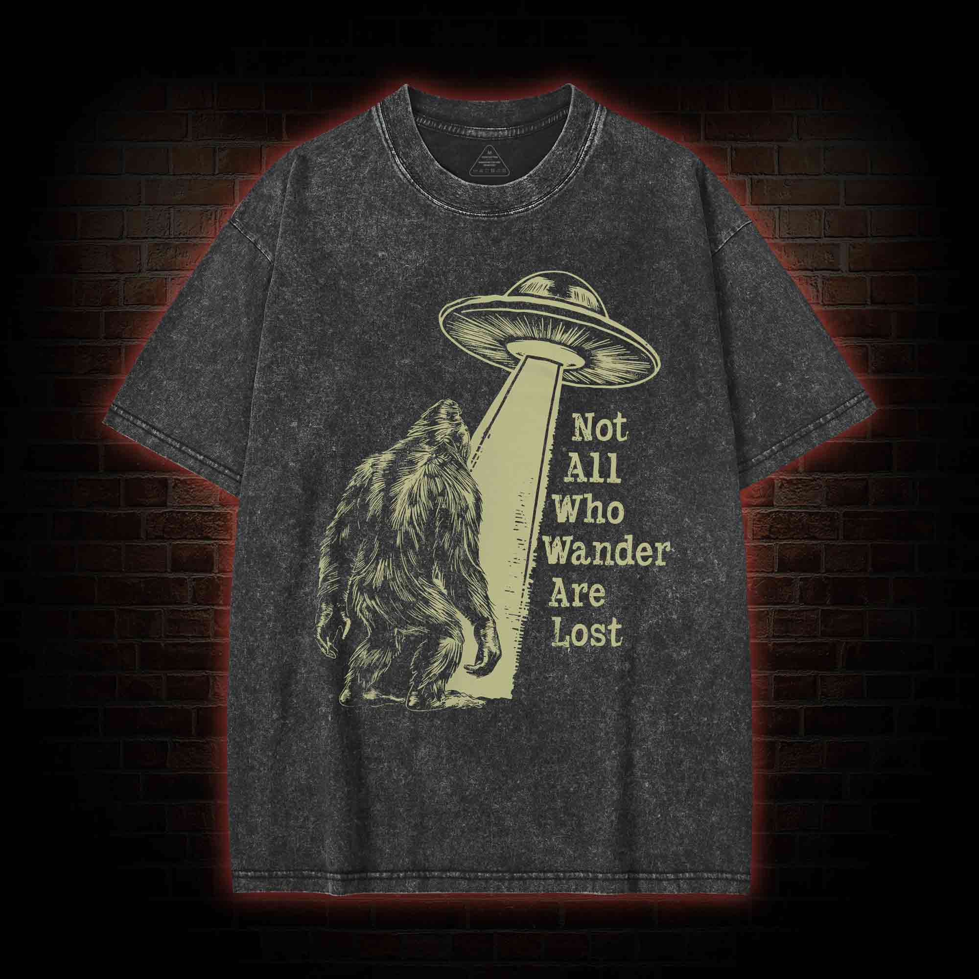 Not All Who Wander Are Lost Bigfoot UFO Washed T-shirt