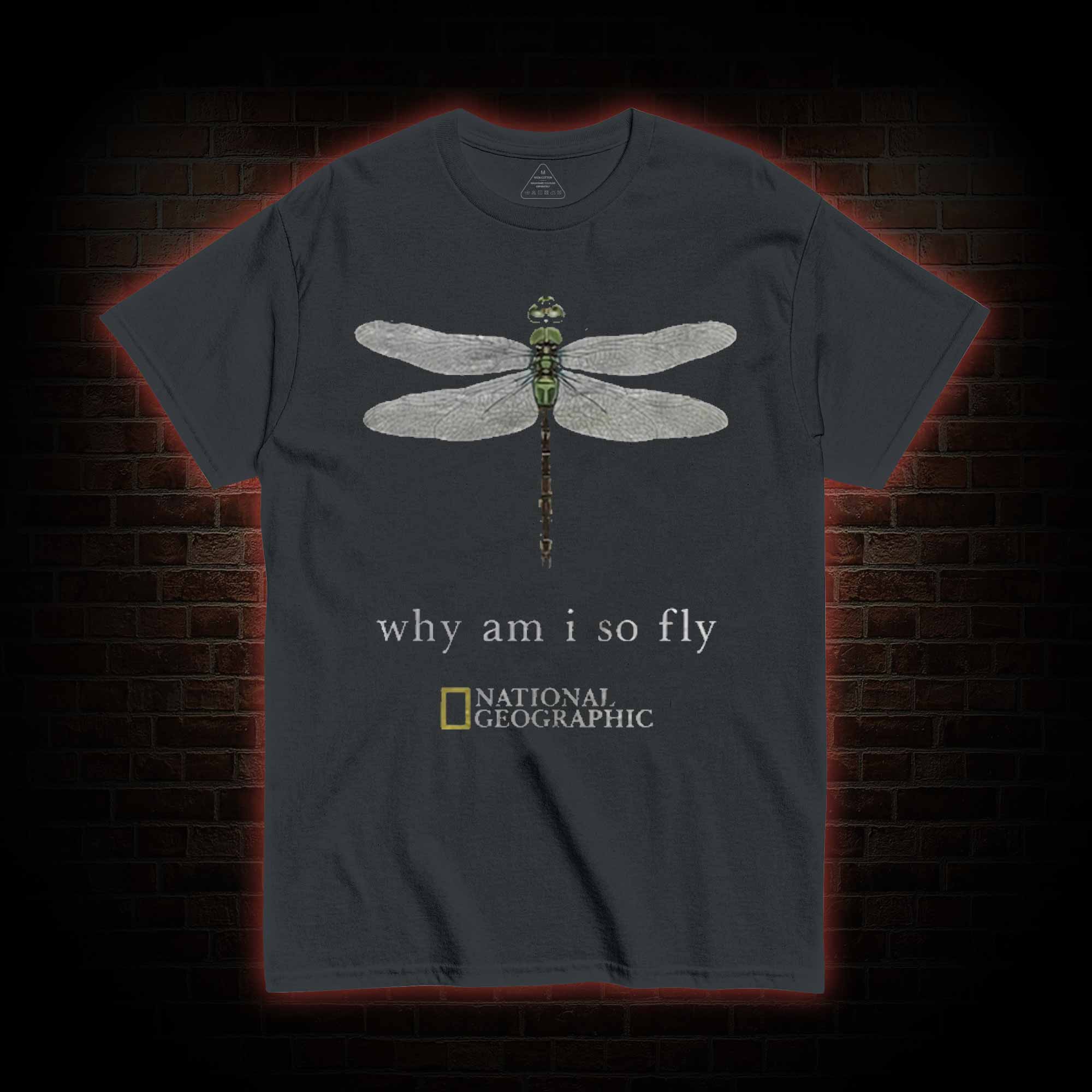 Why am I So Fly T-shirt