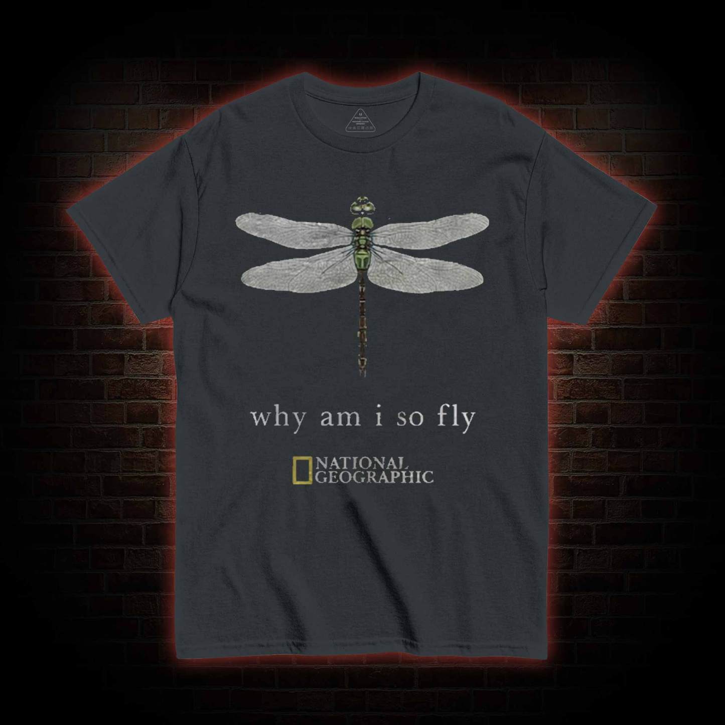 Why am I So Fly T-shirt