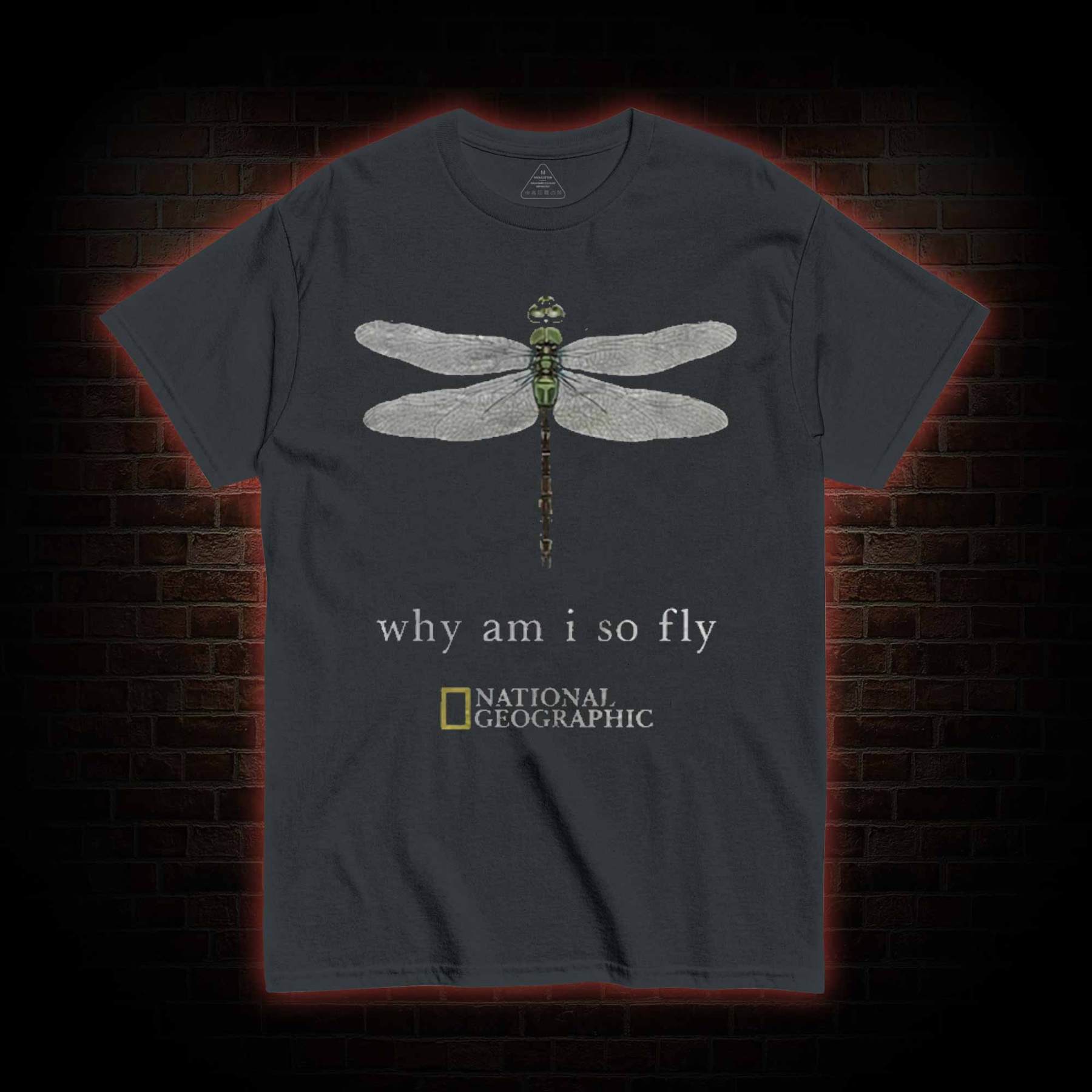 Why am I So Fly T-shirt