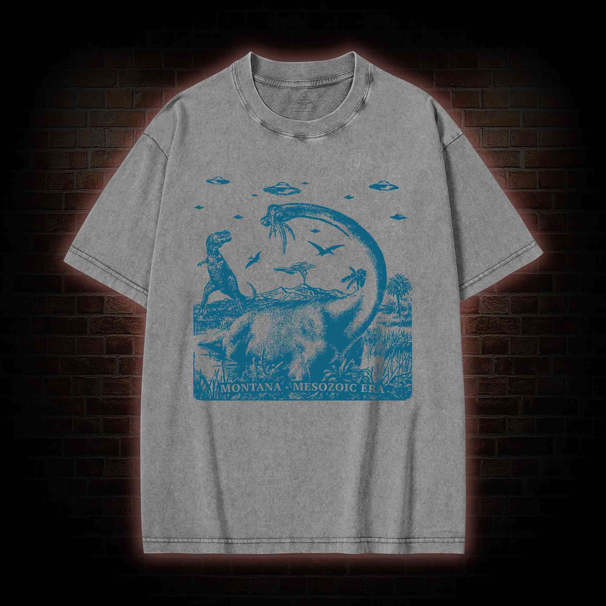 Montana Mesozoic Era Washed T-shirt