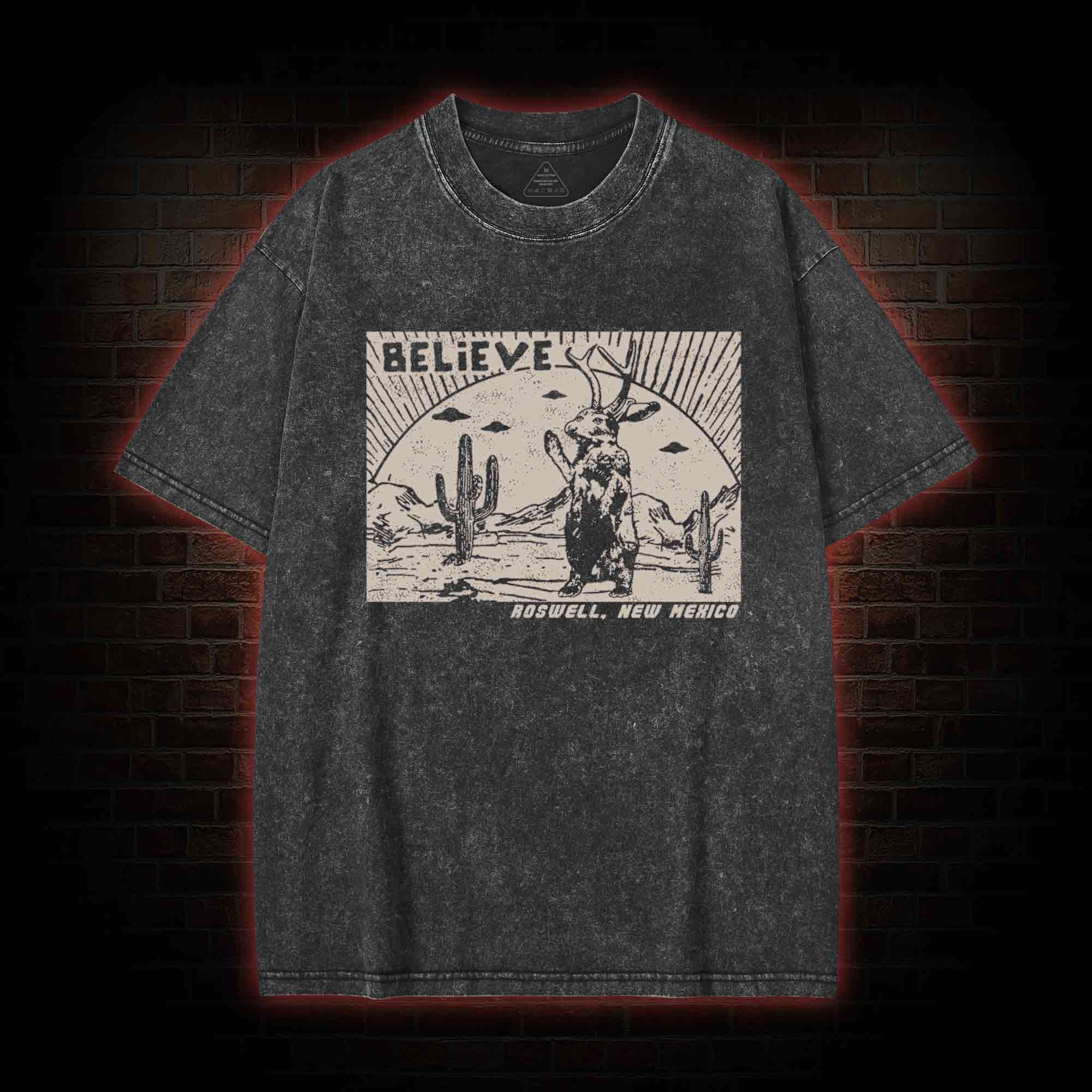 Believe Roswell New Nexico Washed T-shirt